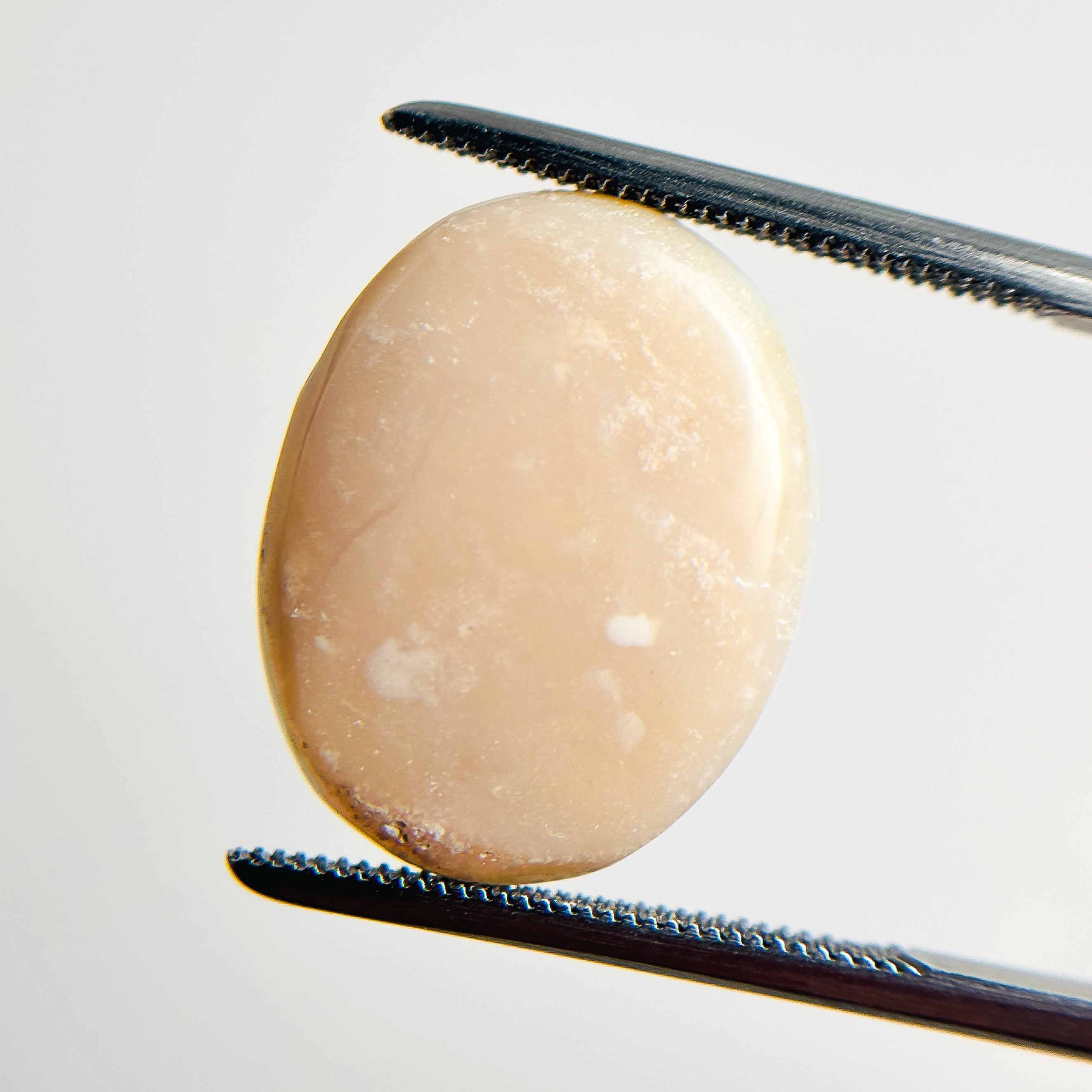 White Opal Multicolour 18x14x5 Cabochon Oval 8.70 Carat