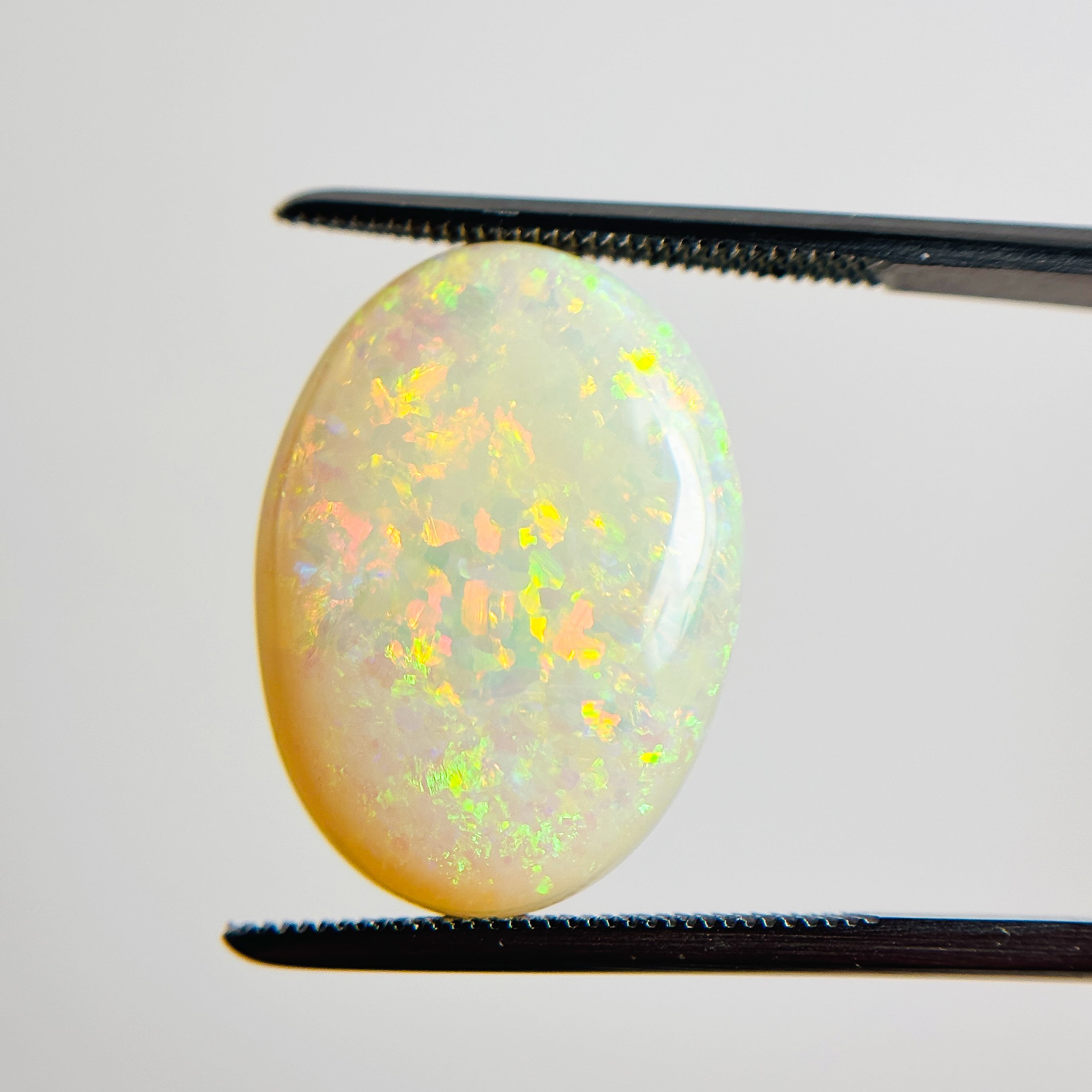 White Opal Red Multicolour 20x14x5 Cabochon Oval 9.40 Carat