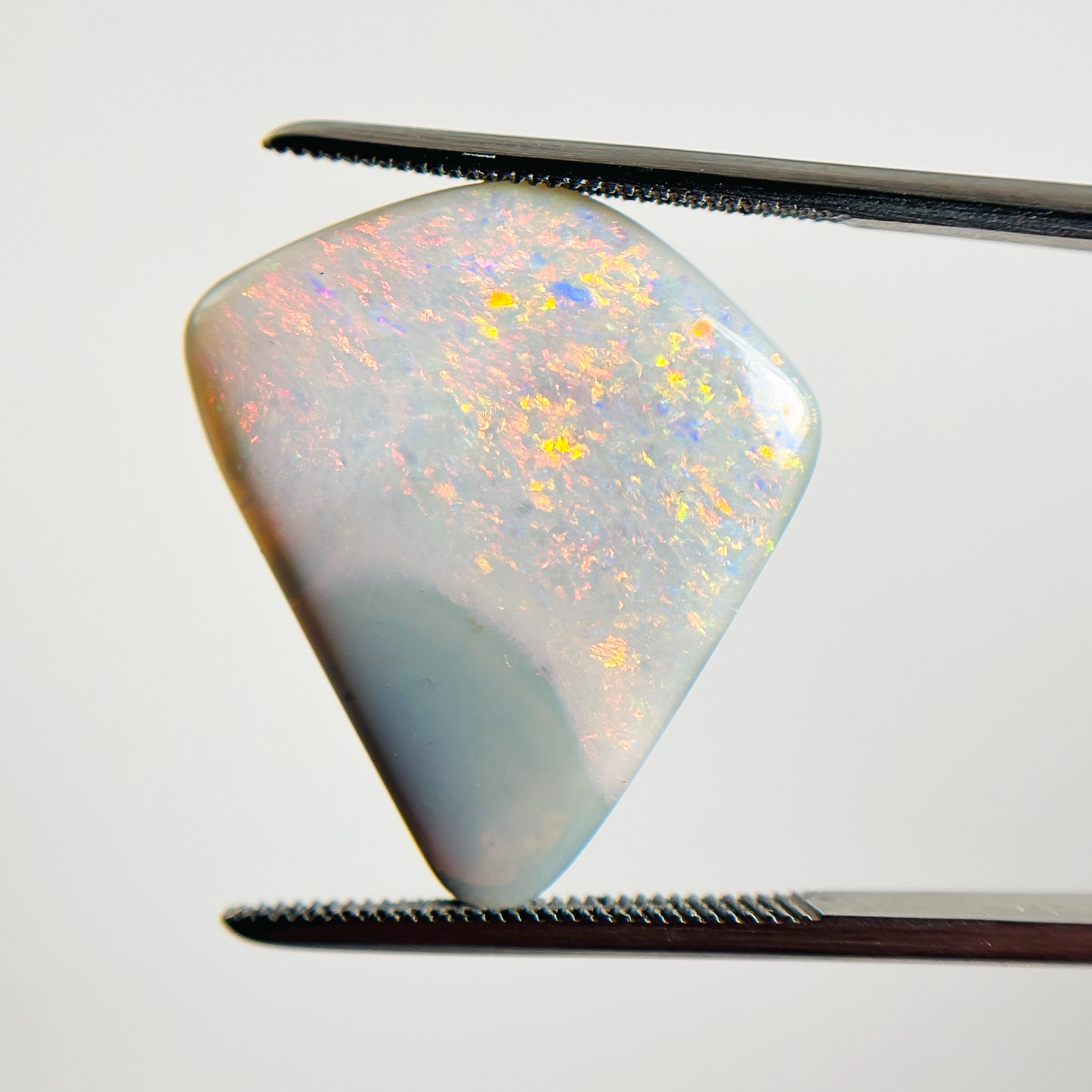 Semi Black Opal Red Multicolour 22x20x4 Cabochon Freeform 9.9 Carat