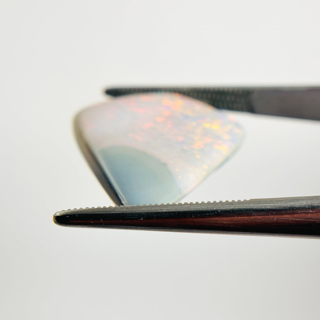 Semi Black Opal Red Multicolour 22x20x4 Cabochon Freeform 9.9 Carat