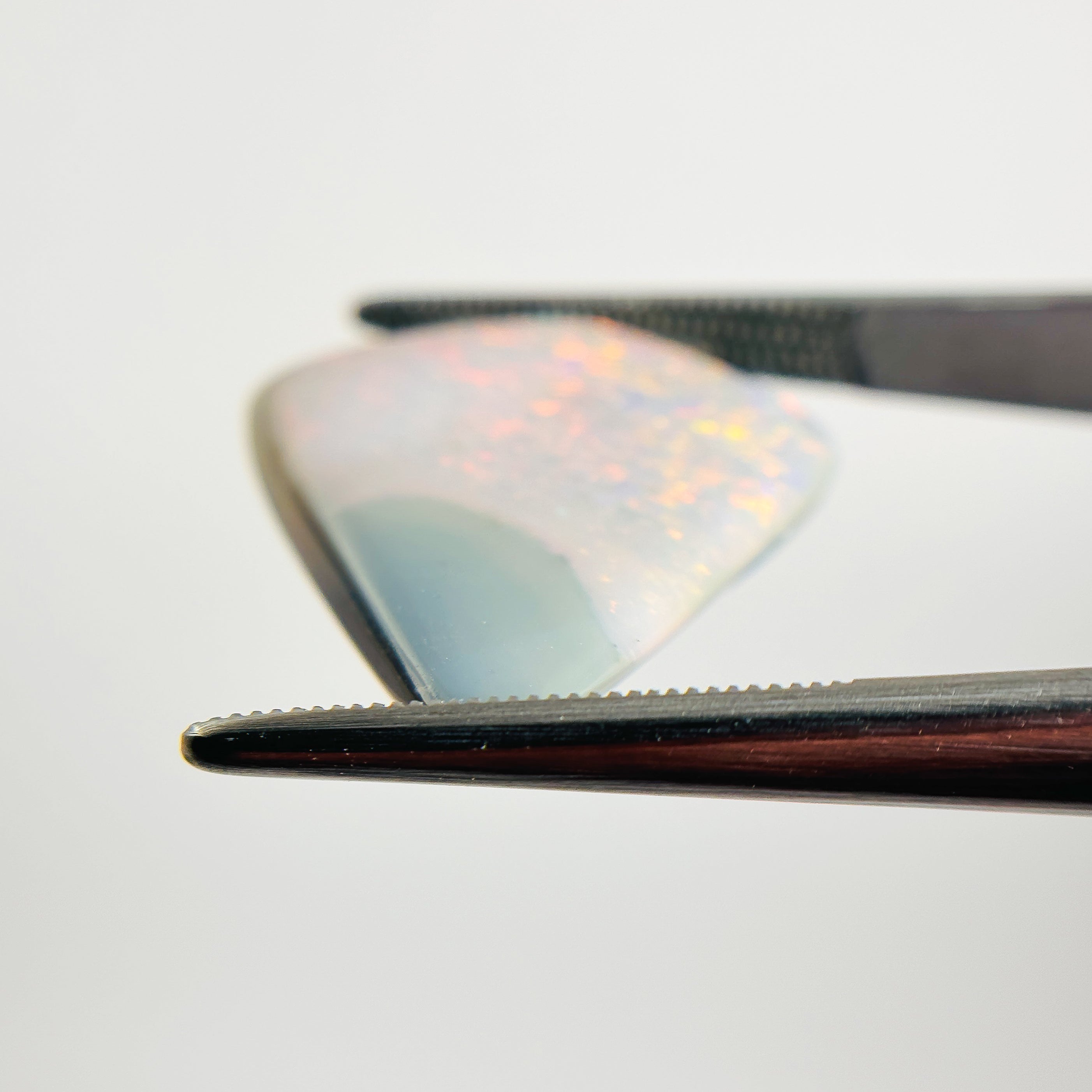 Semi Black Opal Red Multicolour 22x20x4 Cabochon Freeform 9.9 Carat