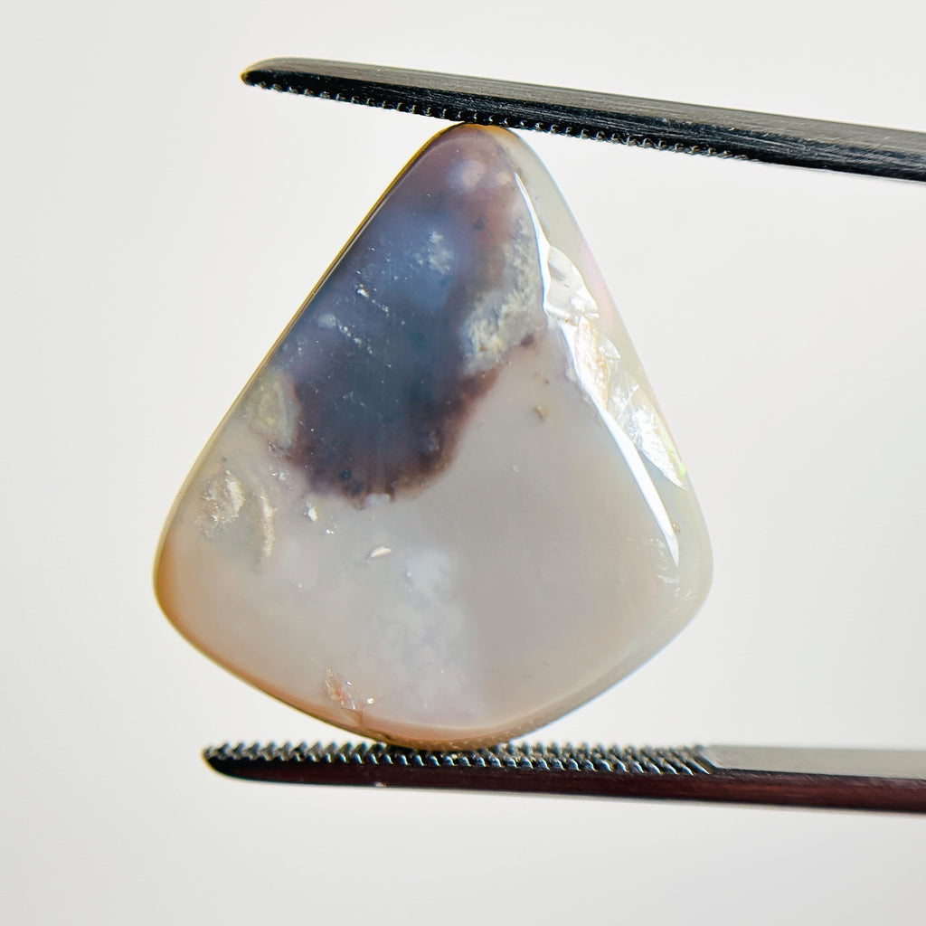 Semi Black Opal Red Multicolour 22x20x4 Cabochon Freeform 9.9 Carat