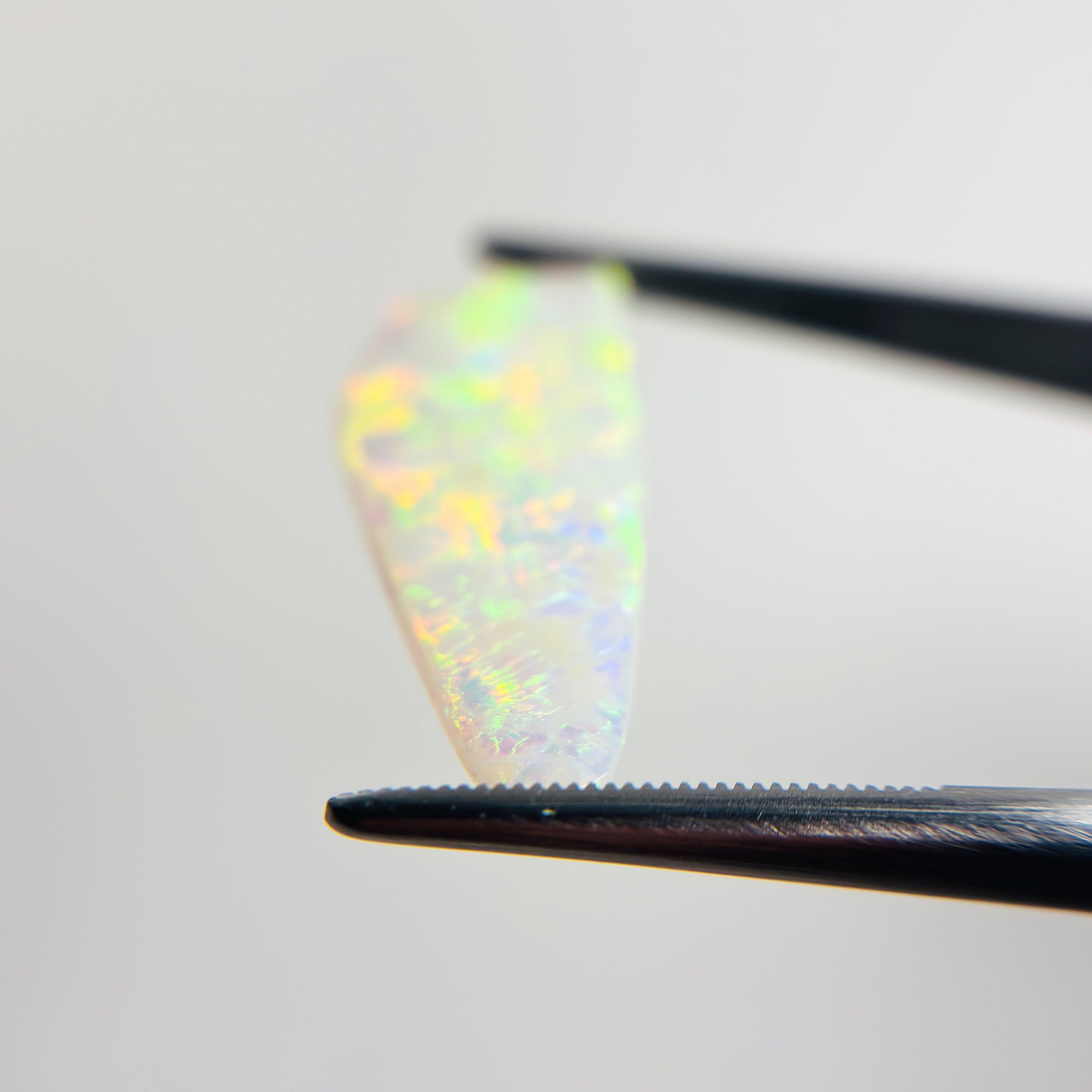 White Opal Red Multicolour 32x12x3 Cabochon Freeform 5.4 Carat