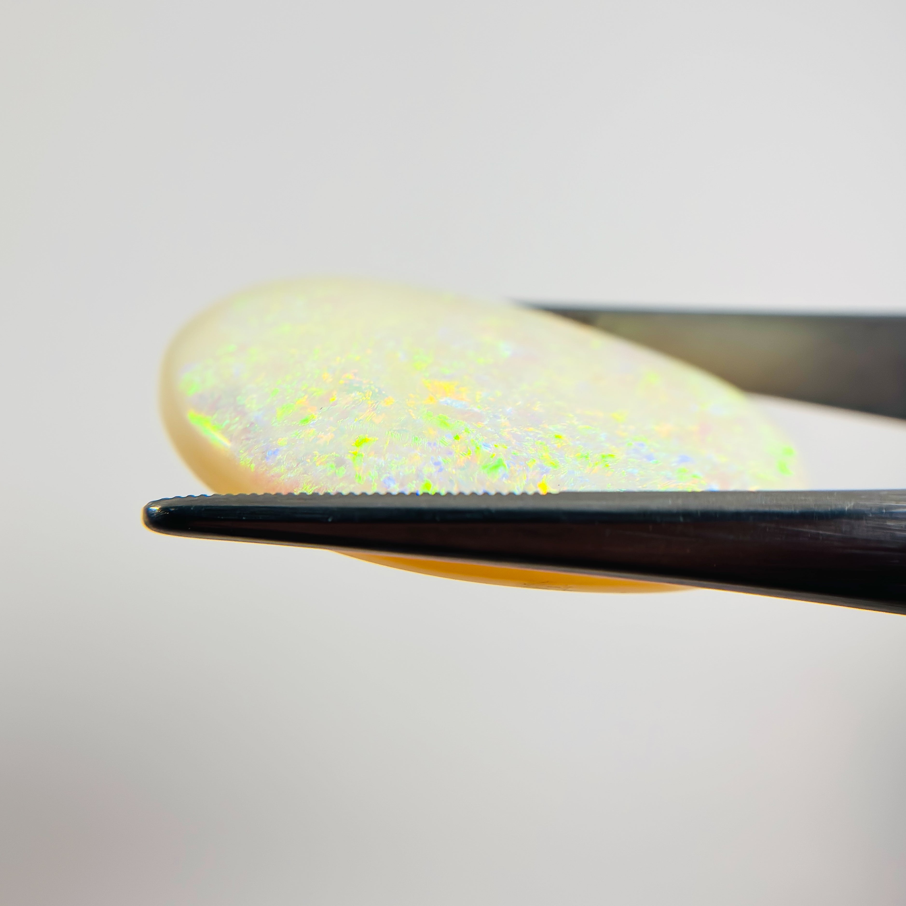 White Opal Green Multicolour Cabochon Freeform Pear 35.35 Carat