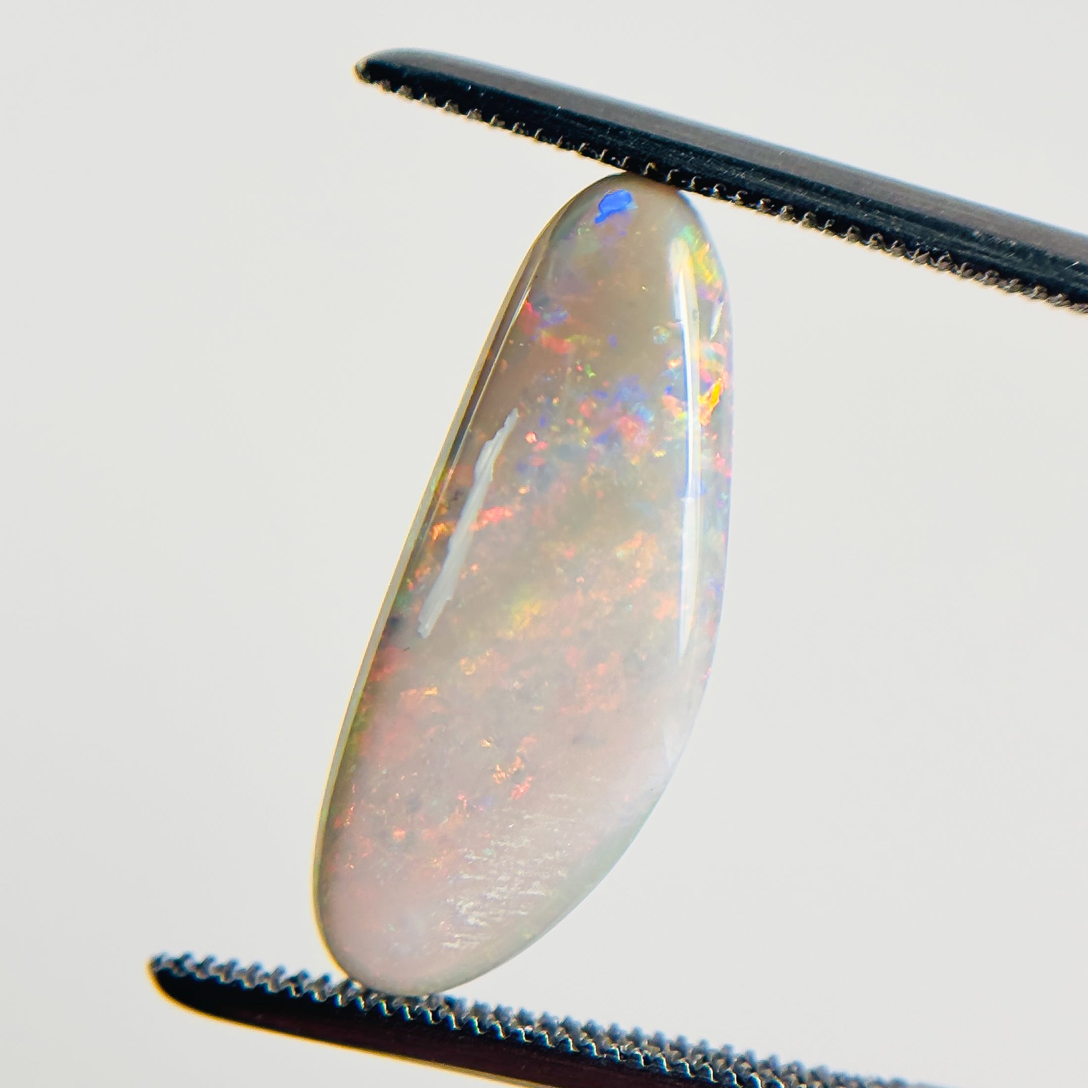 Semi Black Opal Red Multicolour 20x8x4.1 Cabochon Freeform 3.95 Carat