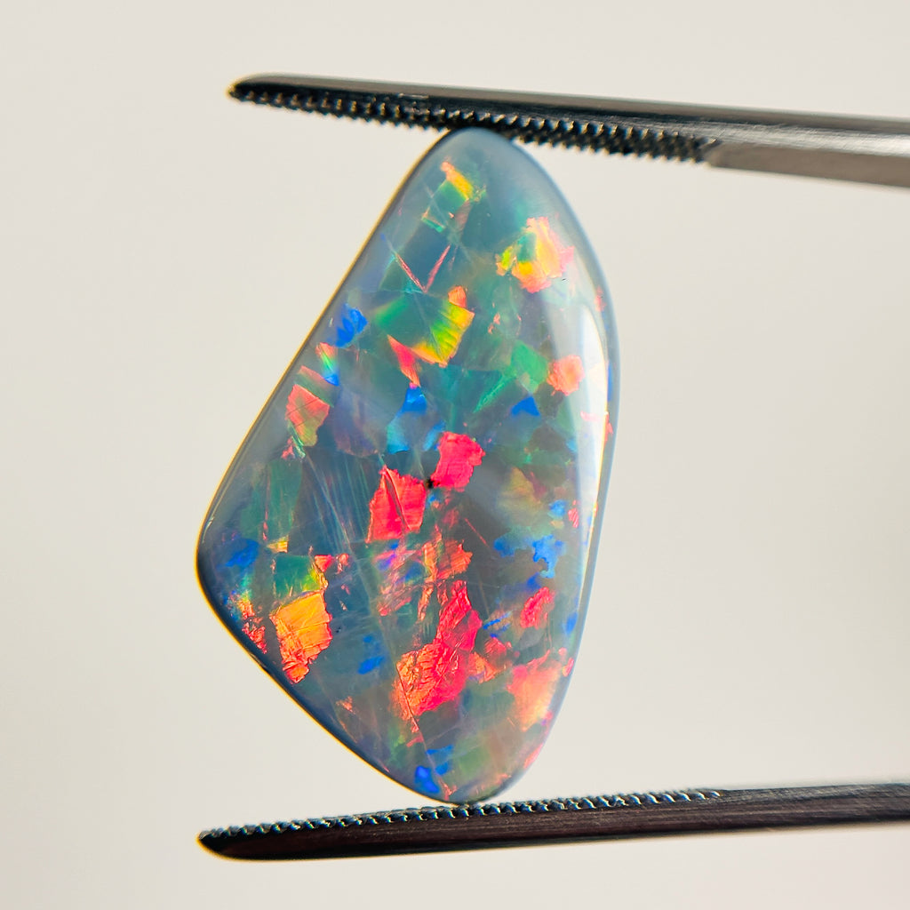 Semi Black Opal Red Multicolour Harlequin 25x14x5.1 Cabochon Freeform 10.85 Carat