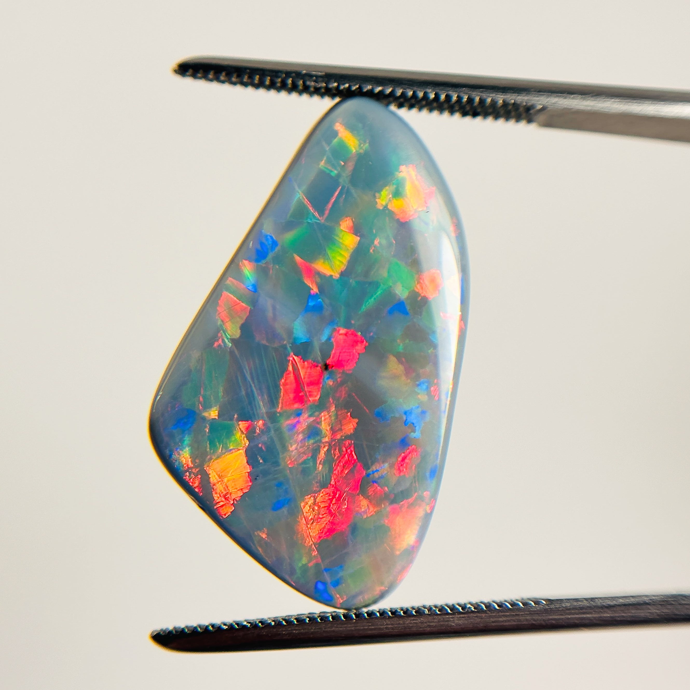 Semi Black Opal Red Multicolour Harlequin 25x14x5.1 Cabochon Freeform 10.85 Carat