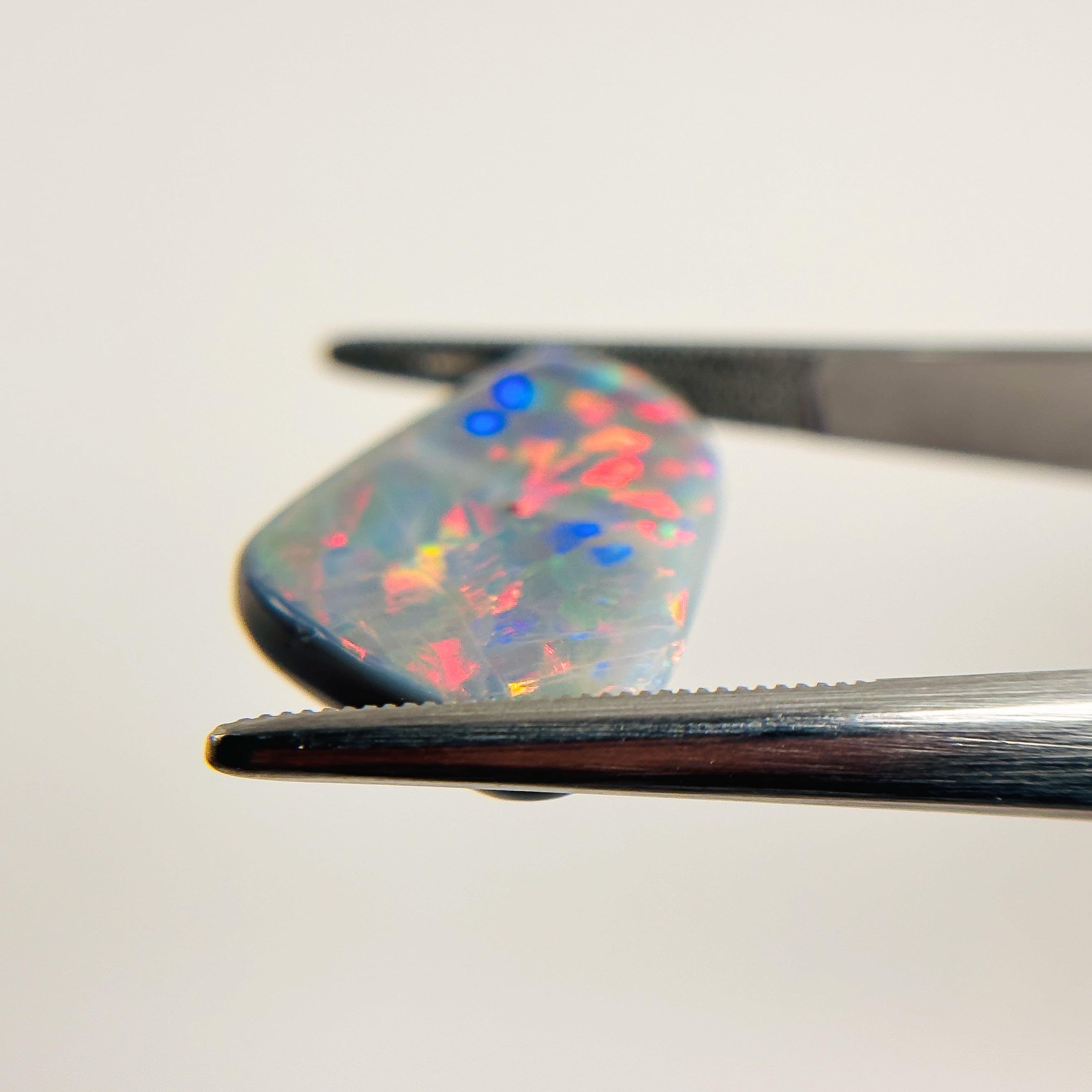 Semi Black Opal Red Multicolour Harlequin 25x14x5.1 Cabochon Freeform 10.85 Carat