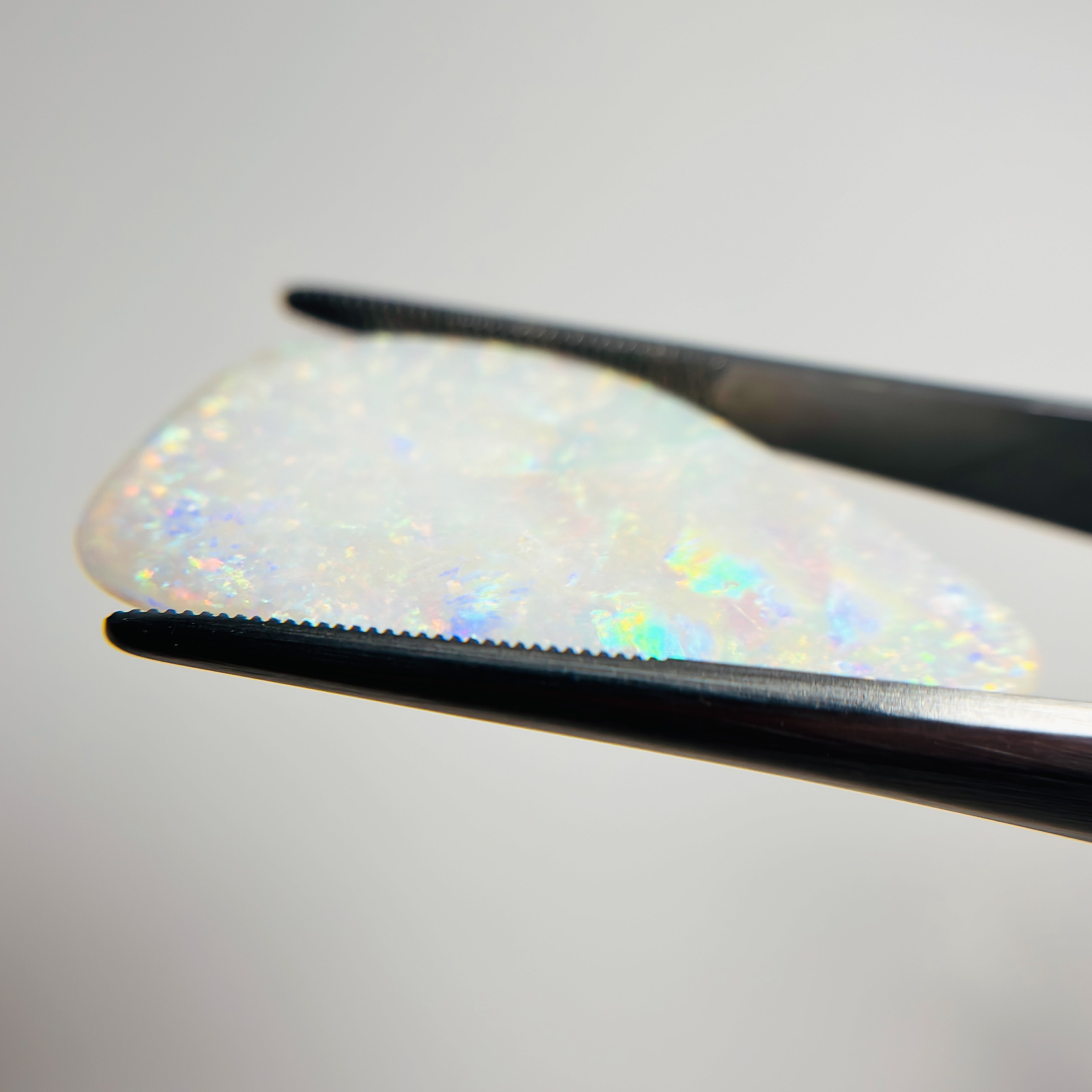 White Opal Multicolour 34x17x3.5 Cabochon Freeform 12.30 Carat