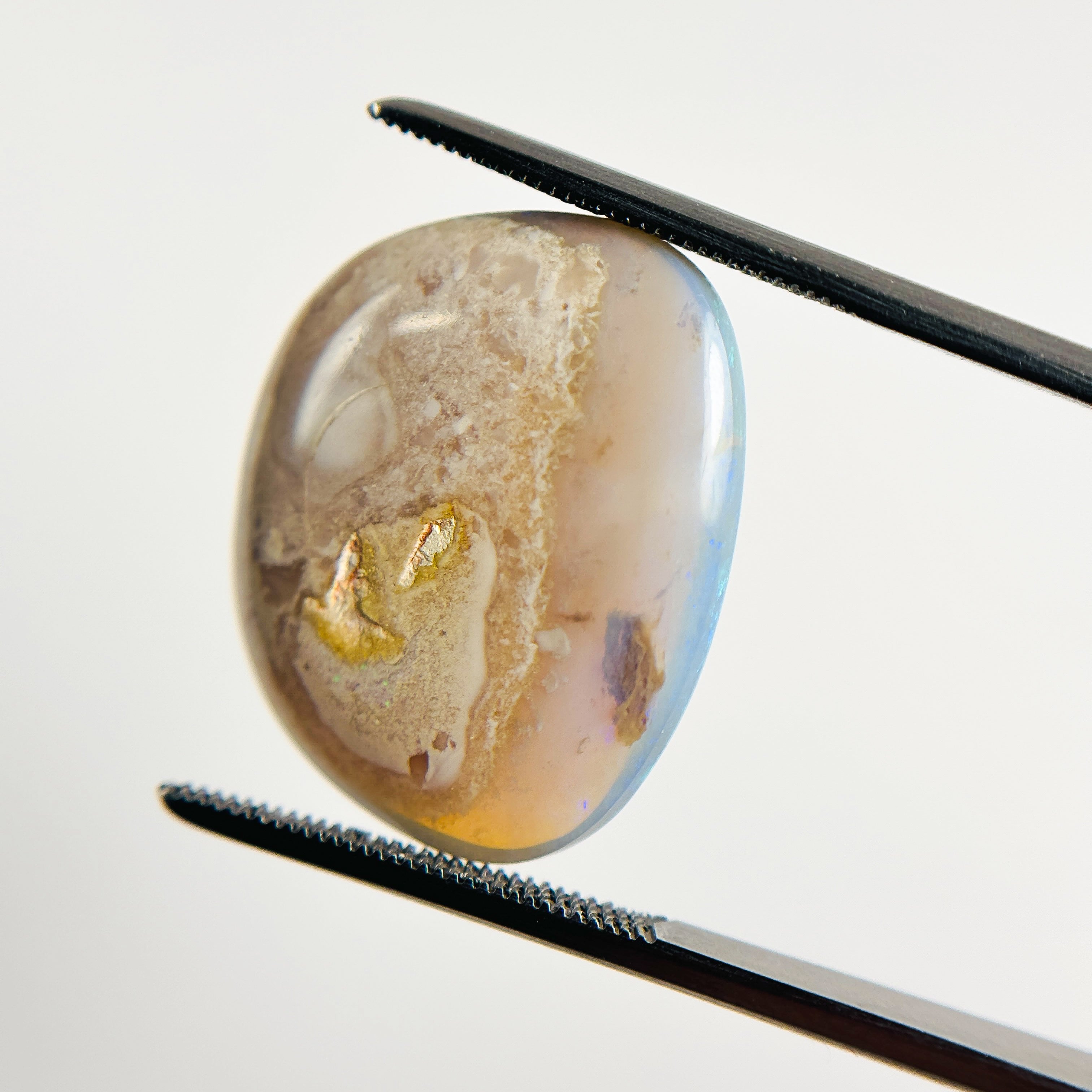 Blue Green Opal 22x19x54 Cabochon Freeform 15.05 Carat