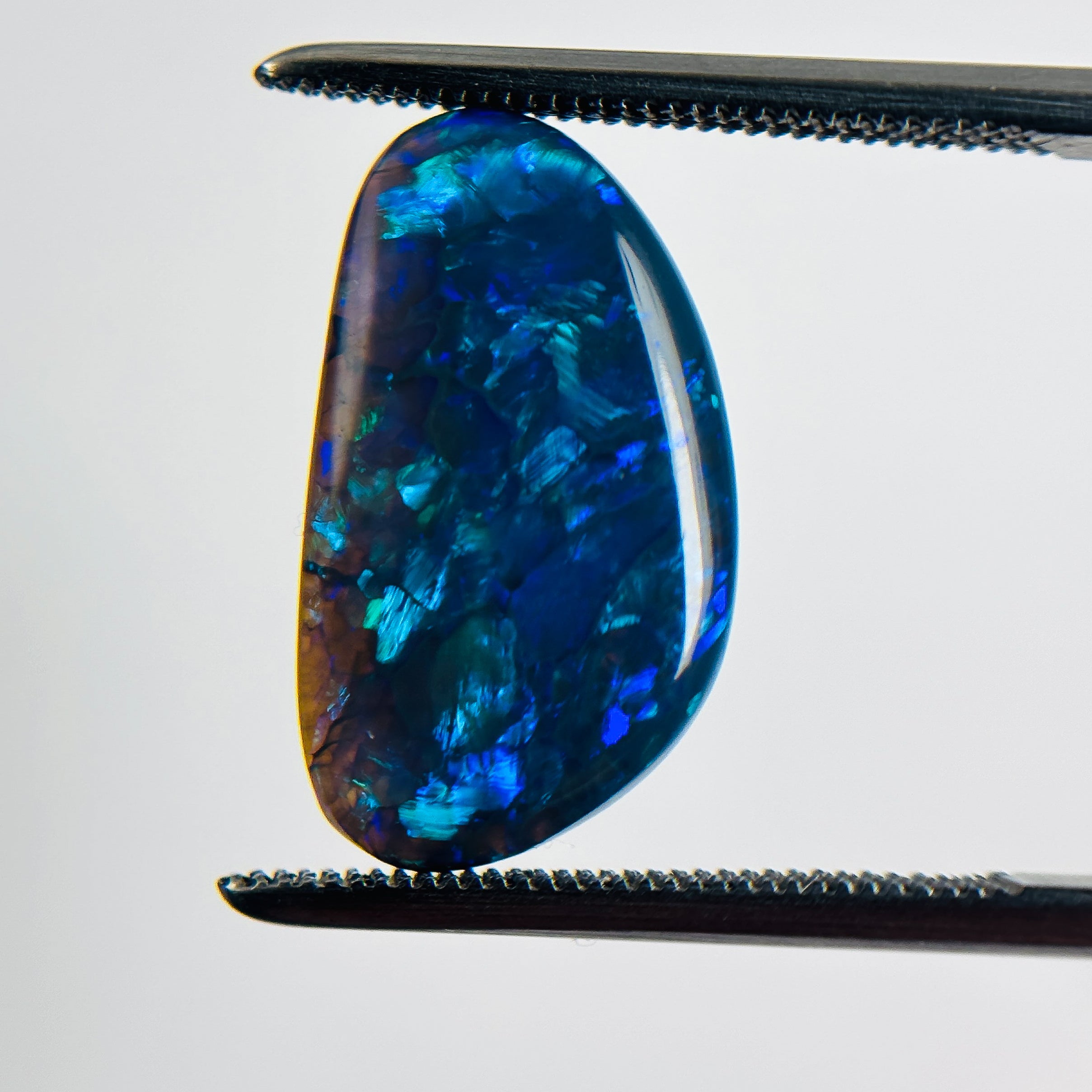 Black Opal Blue Green 18x10x3.5 Cabochon Freeform 4.05 Carat