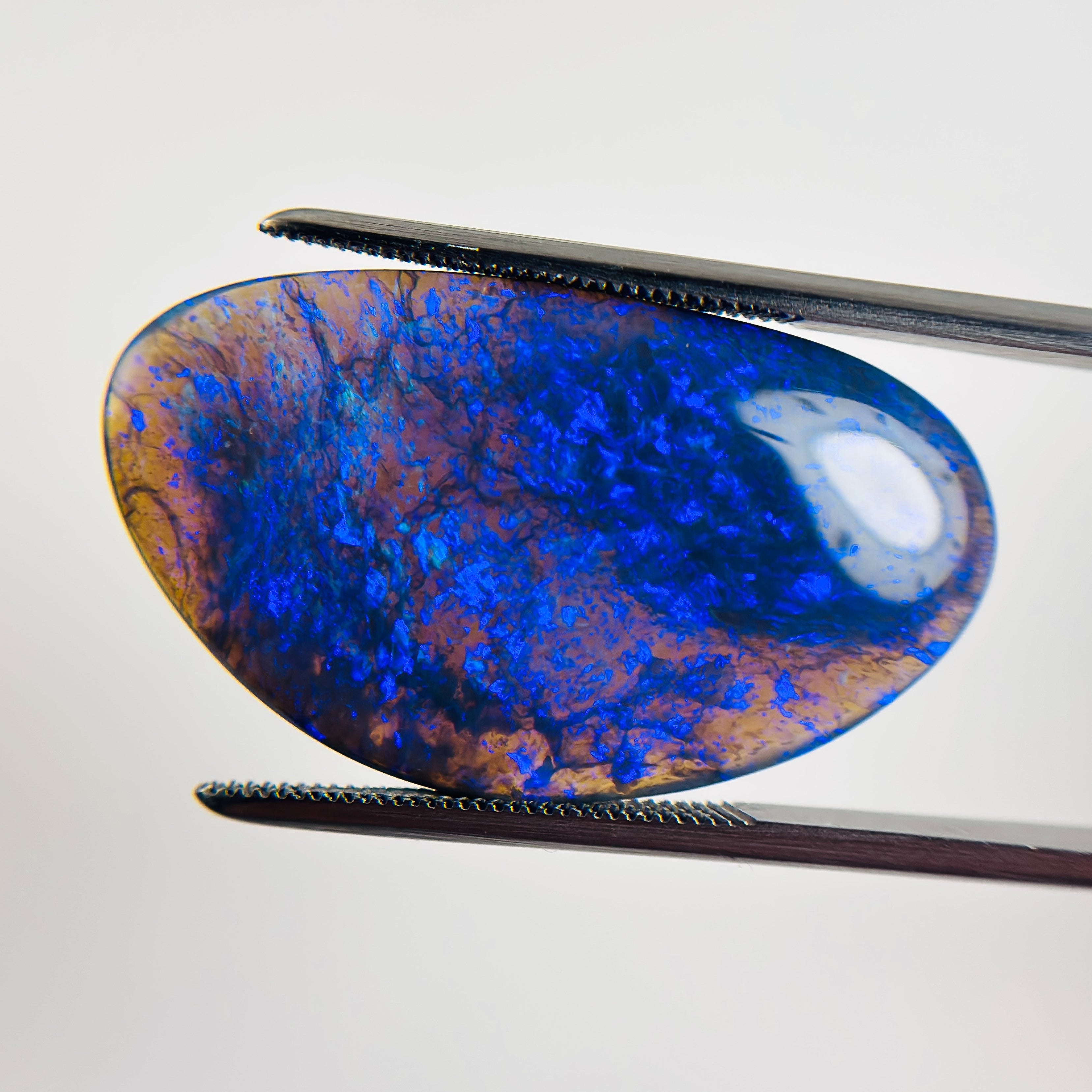 Black Opal Blue 30x17x4.5 Cabochon Freeform 14.4 Carat