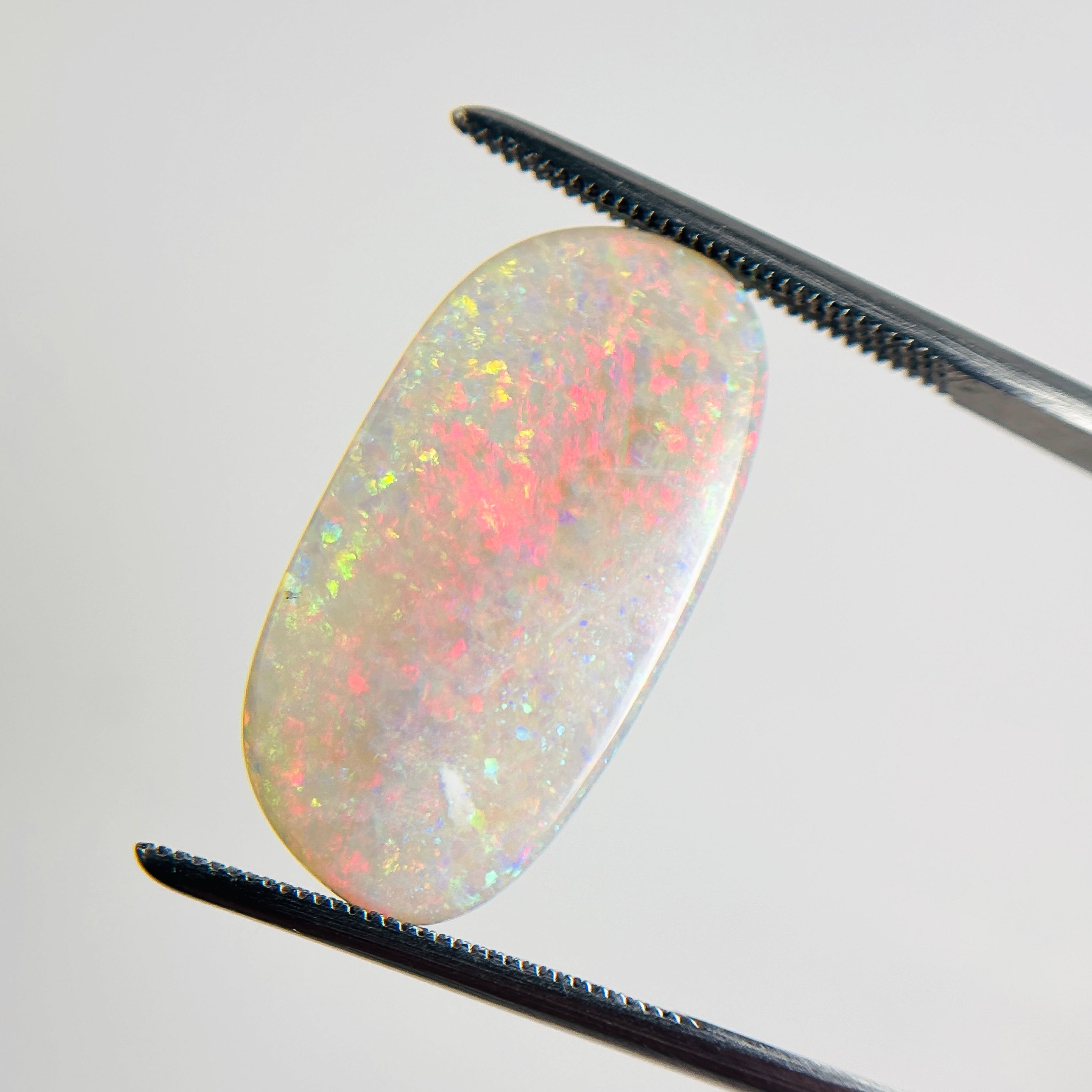 White Opal Multicolour 23.6x12.2x4.75 Cabochon Freeform 8.65 Carat