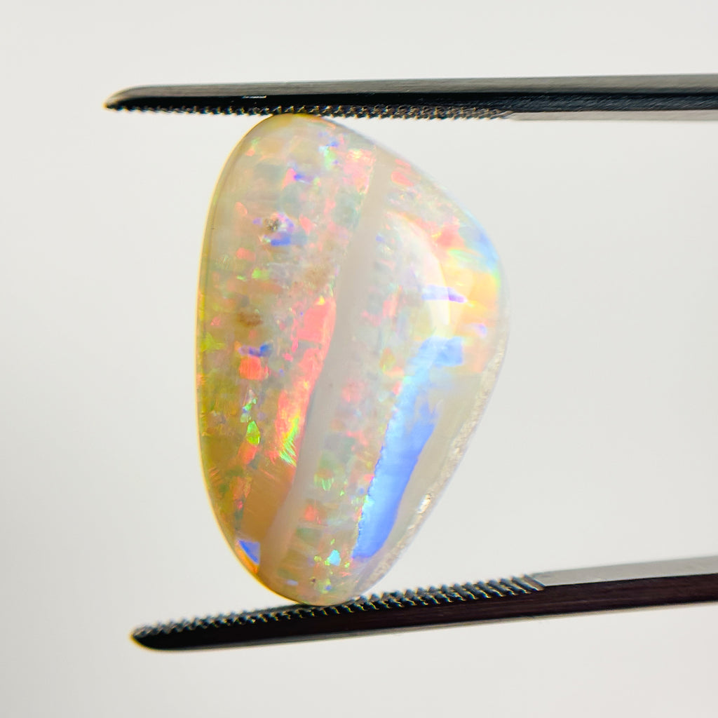 White Opal Red Multicolour 21x14x5.2 Cabochon Freeform 9.4 Carat