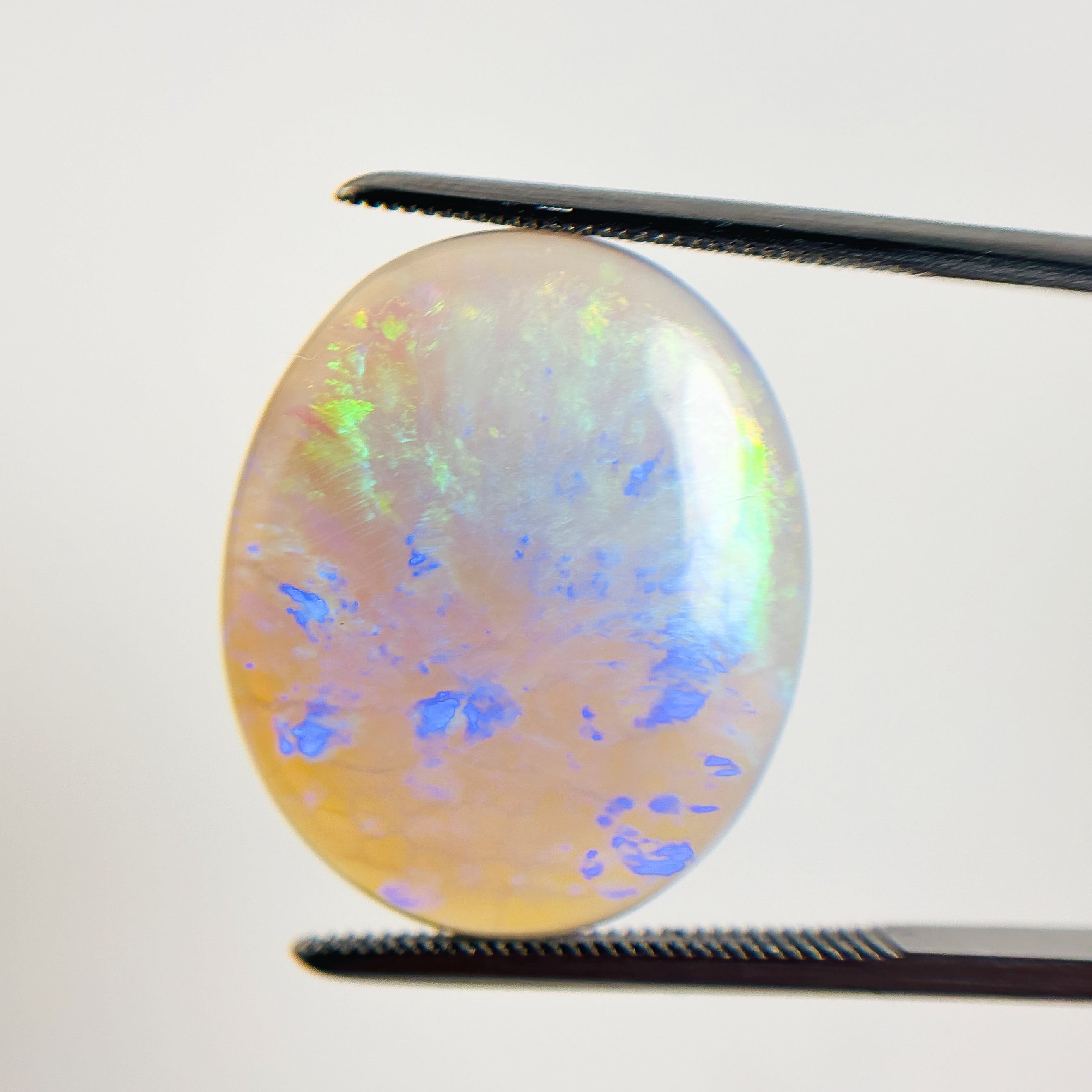 Semi Black Opal Blue Green 21x18x5 Cabochon Oval 11.7 Carat