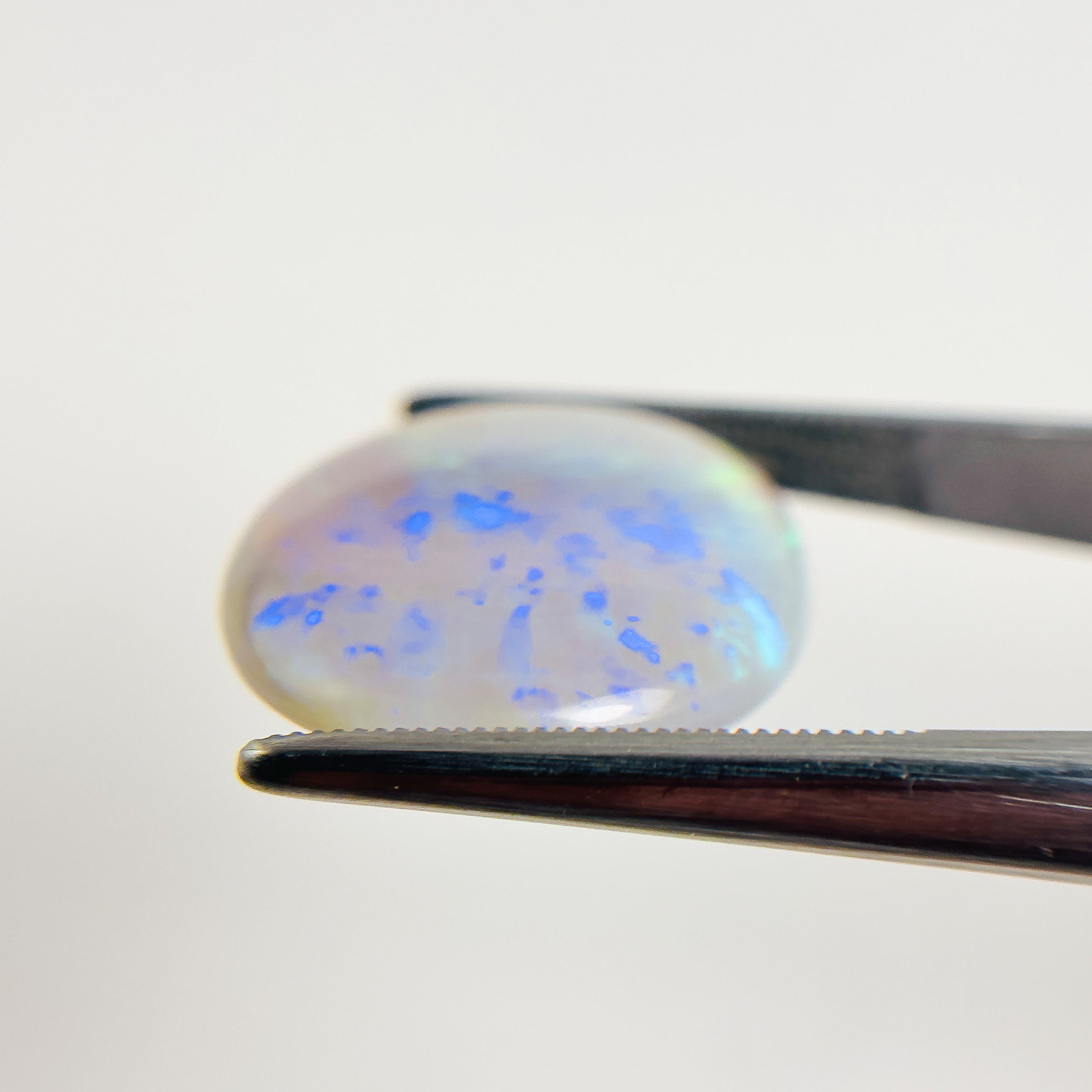 Semi Black Opal Blue Green 21x18x5 Cabochon Oval 11.7 Carat