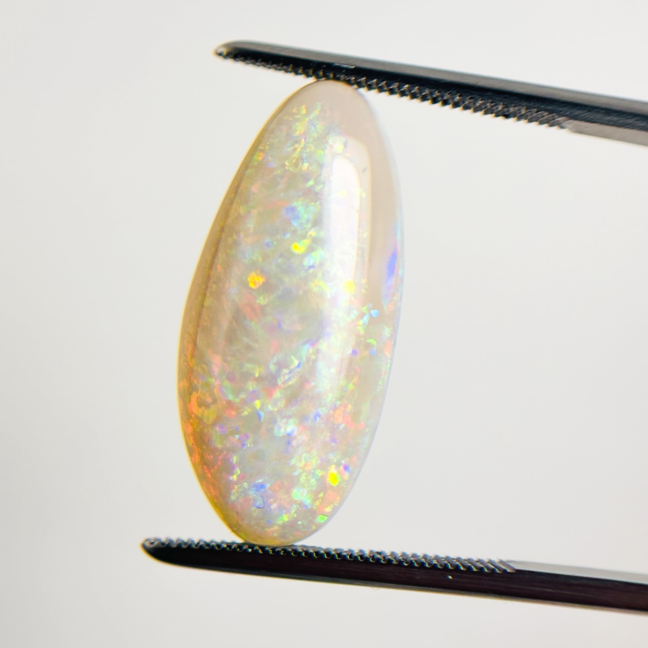 White Opal Multicolour 23x11x4.6 Cabochon Freeform 7 Carat
