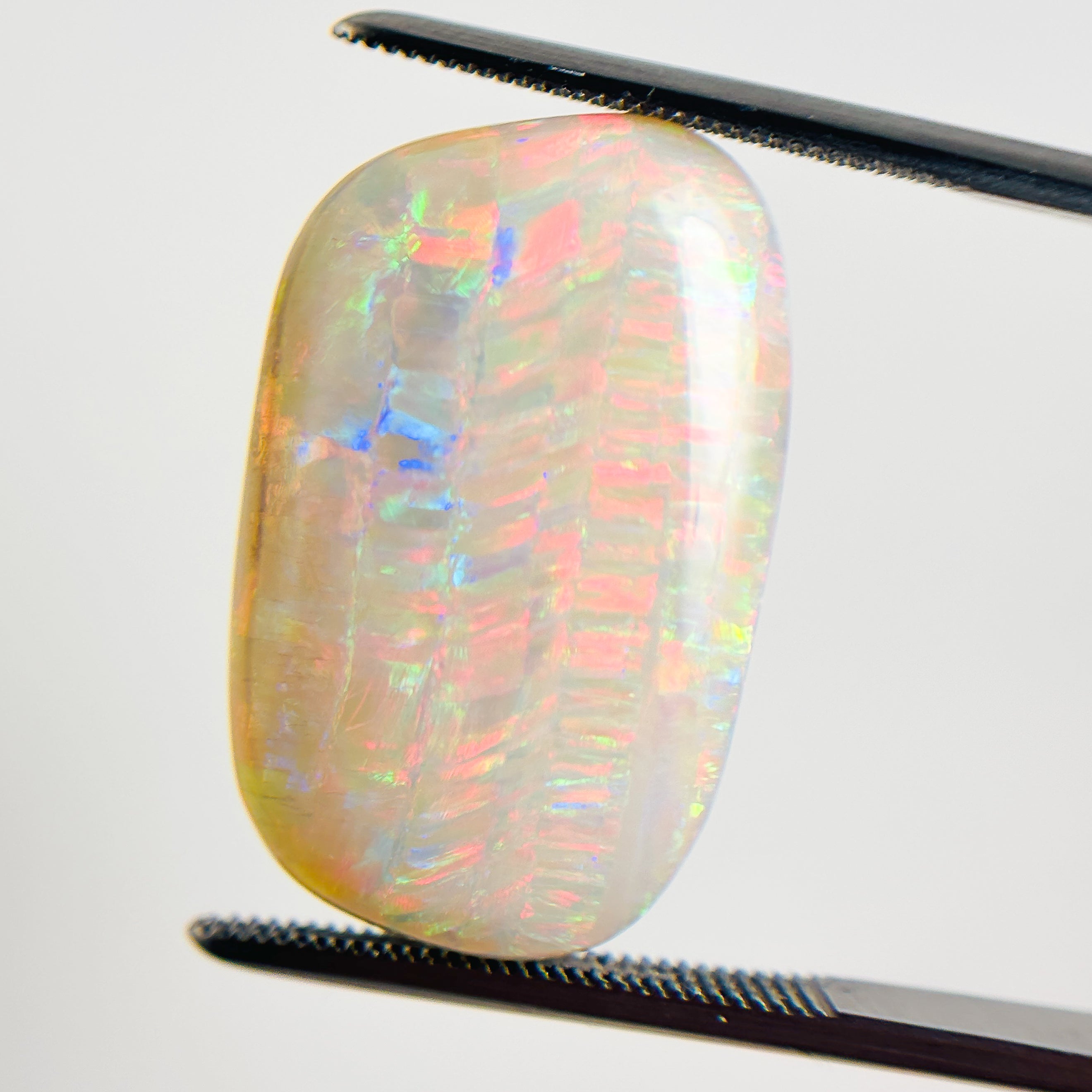 White Opal Red Multicolour 24x15x5 Cabochon Freeform 12.1 Carat