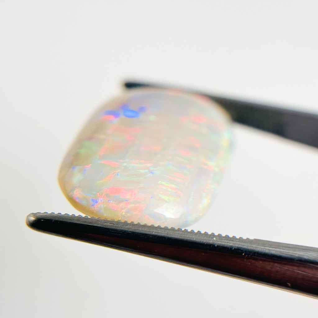 White Opal Red Multicolour 24x15x5 Cabochon Freeform 12.1 Carat
