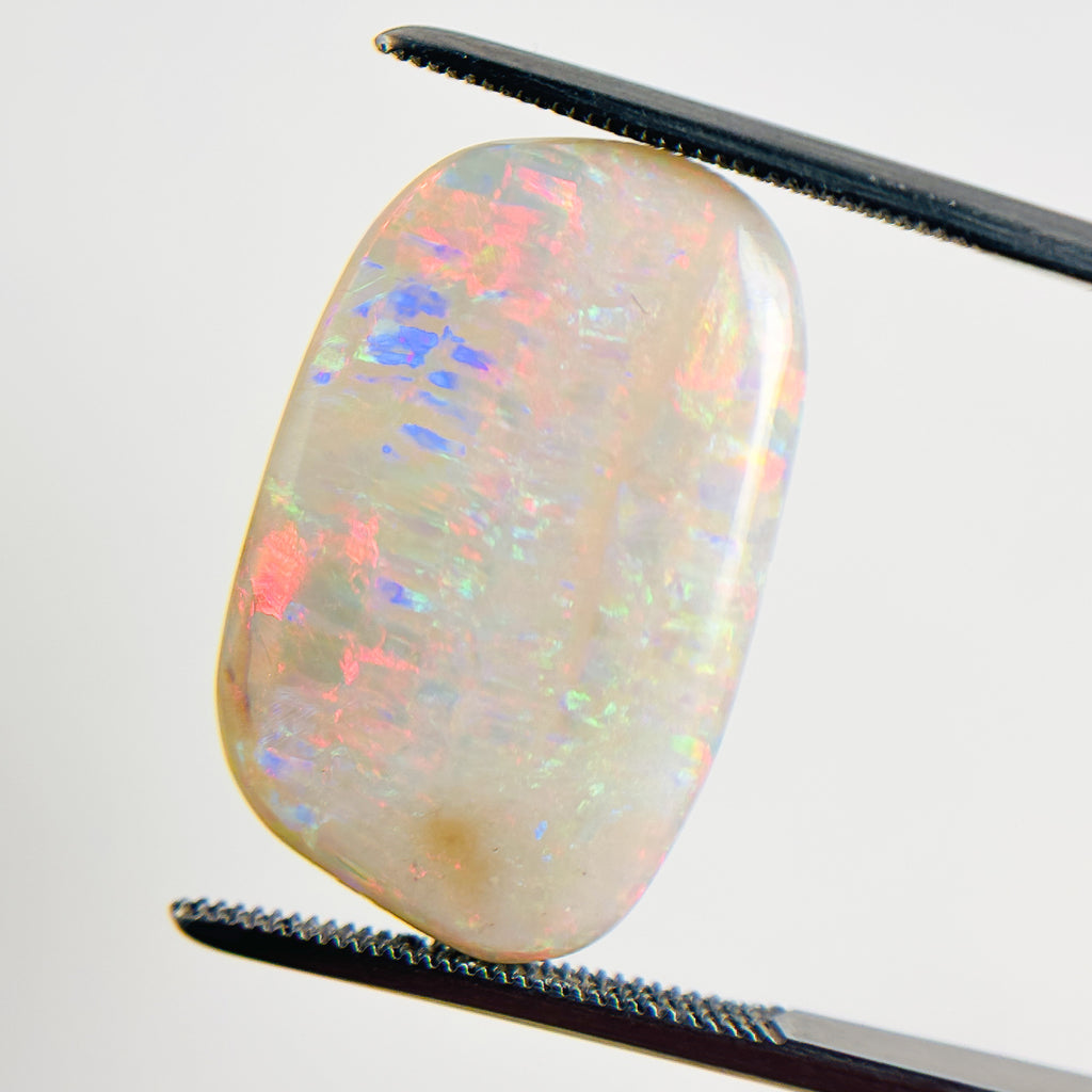 White Opal Red Multicolour 24x15x5 Cabochon Freeform 12.1 Carat