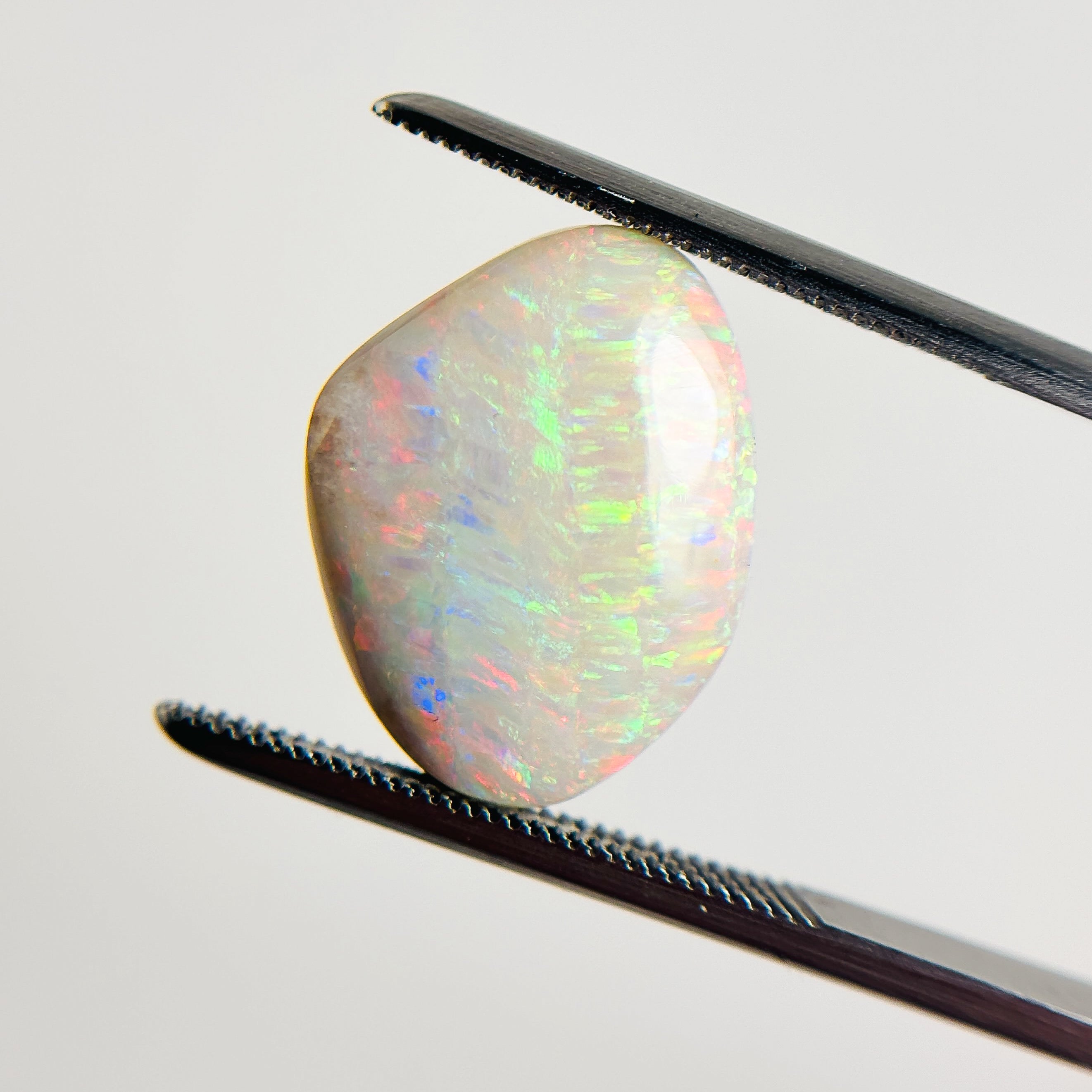 White Opal Red Multicolour 16x13x4.8 Cabochon Freeform 5.8 Carat