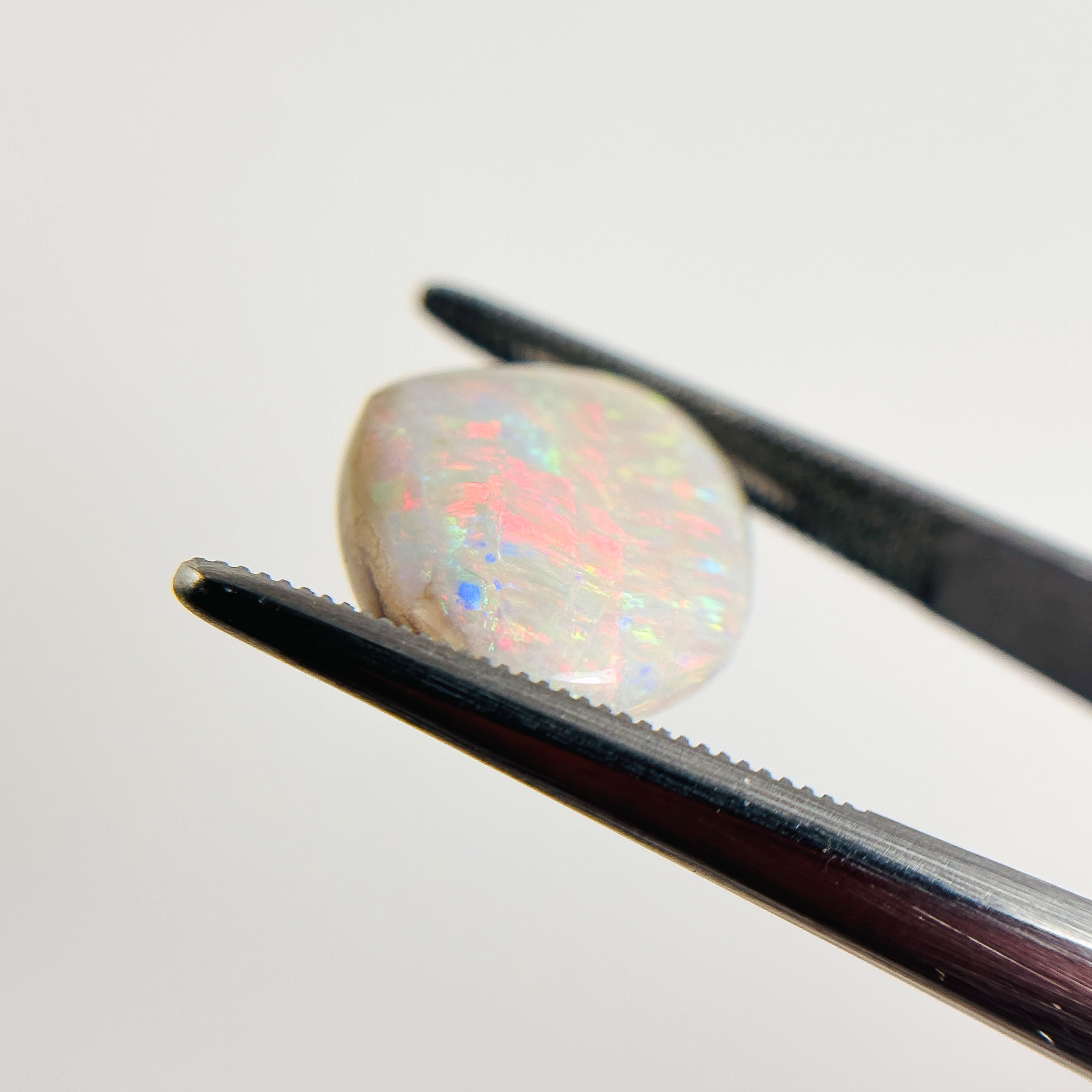 White Opal Red Multicolour 16x13x4.8 Cabochon Freeform 5.8 Carat