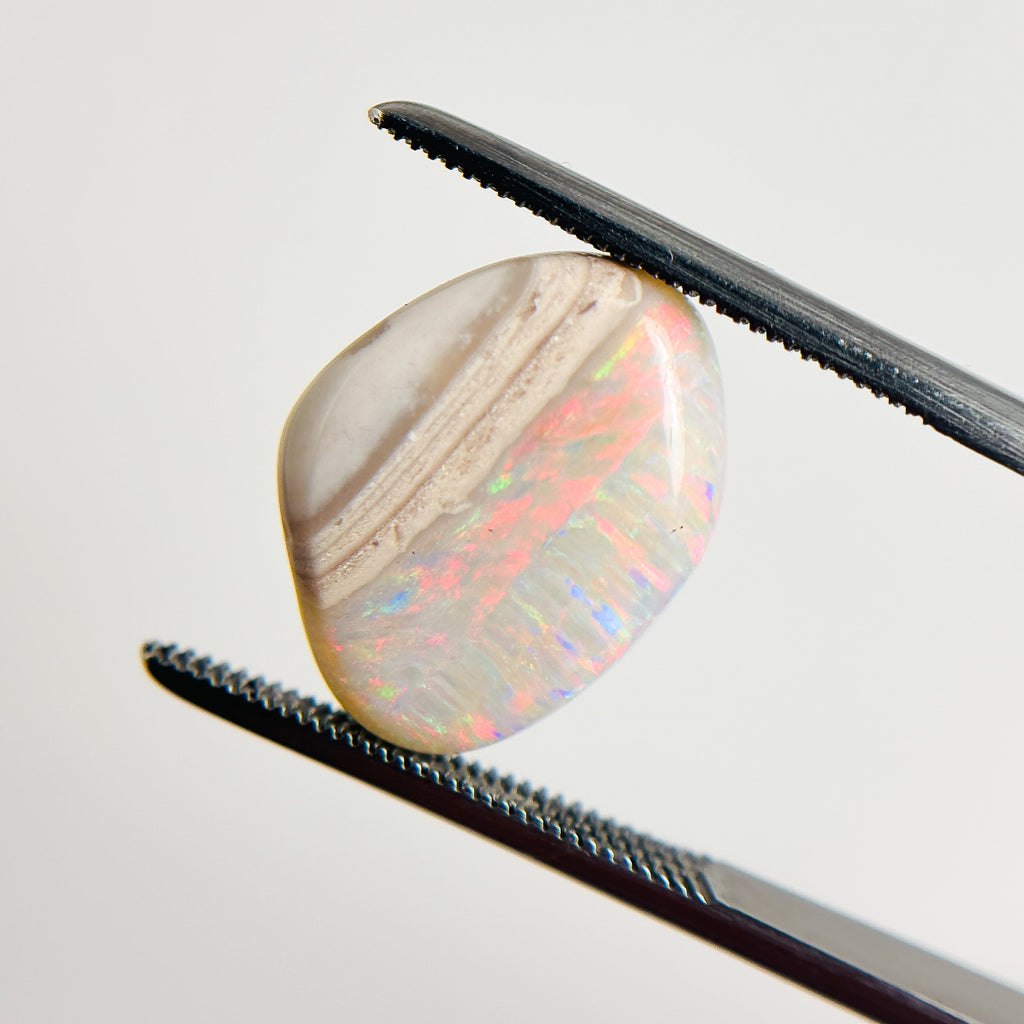 White Opal Red Multicolour 16x13x4.8 Cabochon Freeform 5.8 Carat