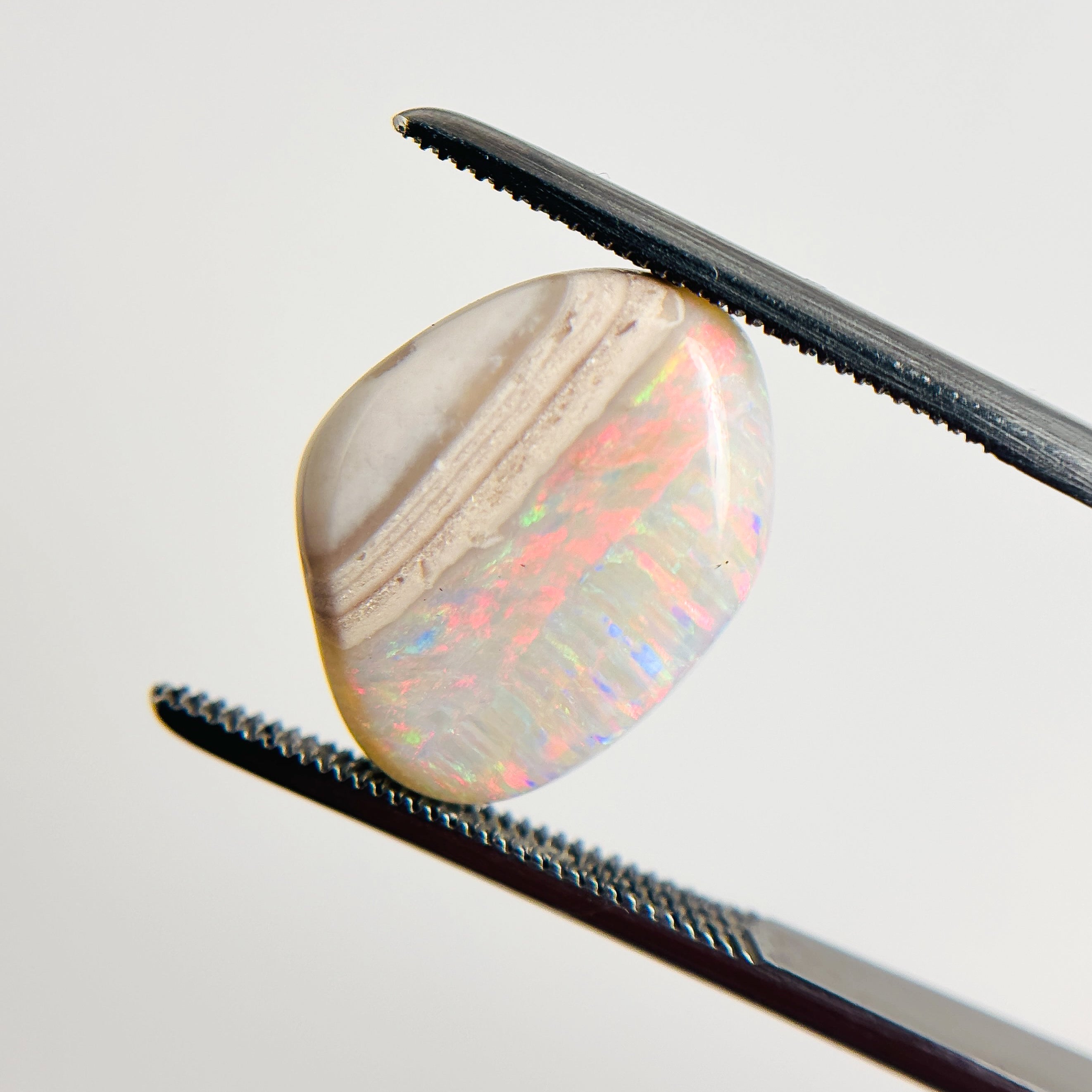 White Opal Red Multicolour 16x13x4.8 Cabochon Freeform 5.8 Carat