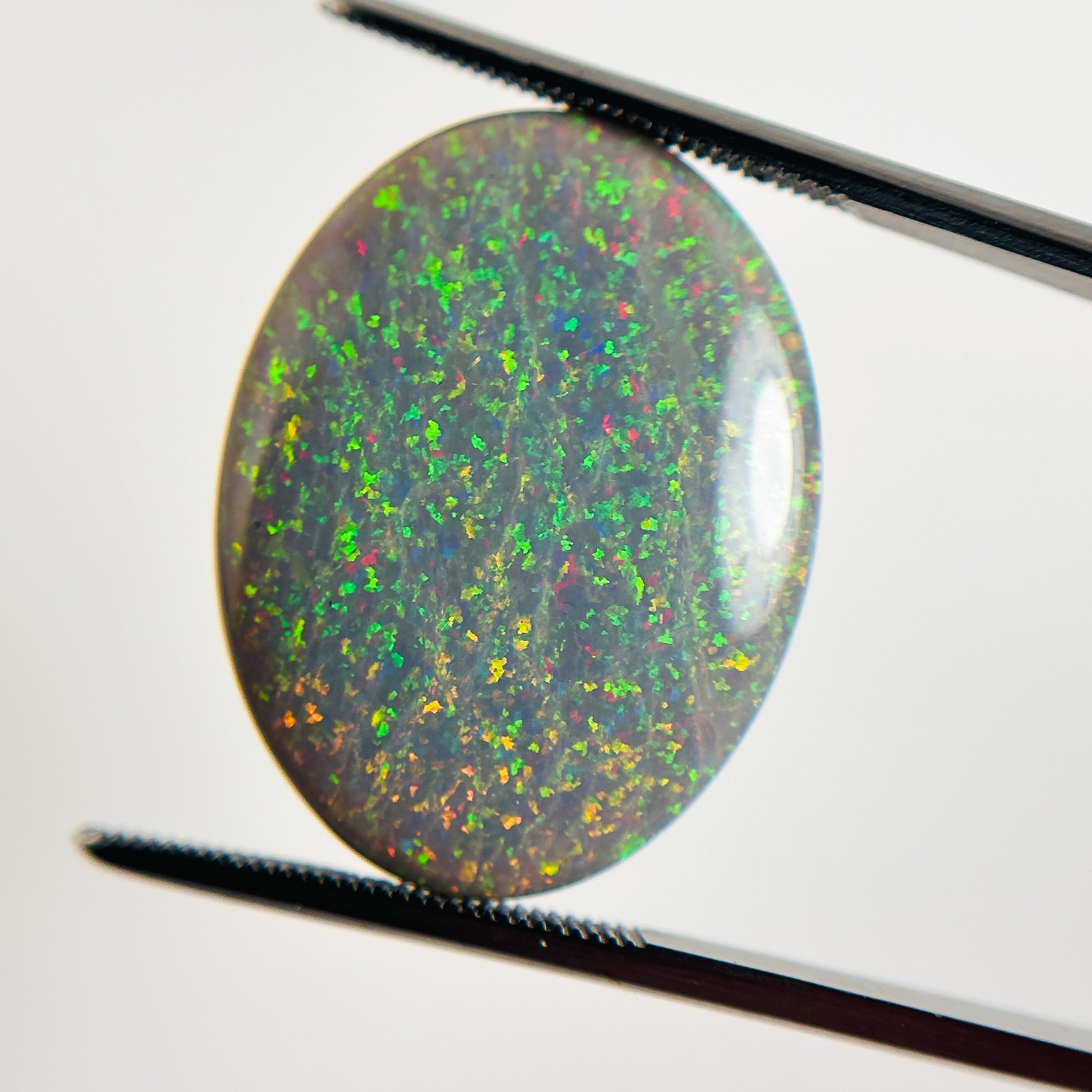 Semi Black Opal Red Multicolour 25x19x6 Cabochon Oval 16.8 Carat