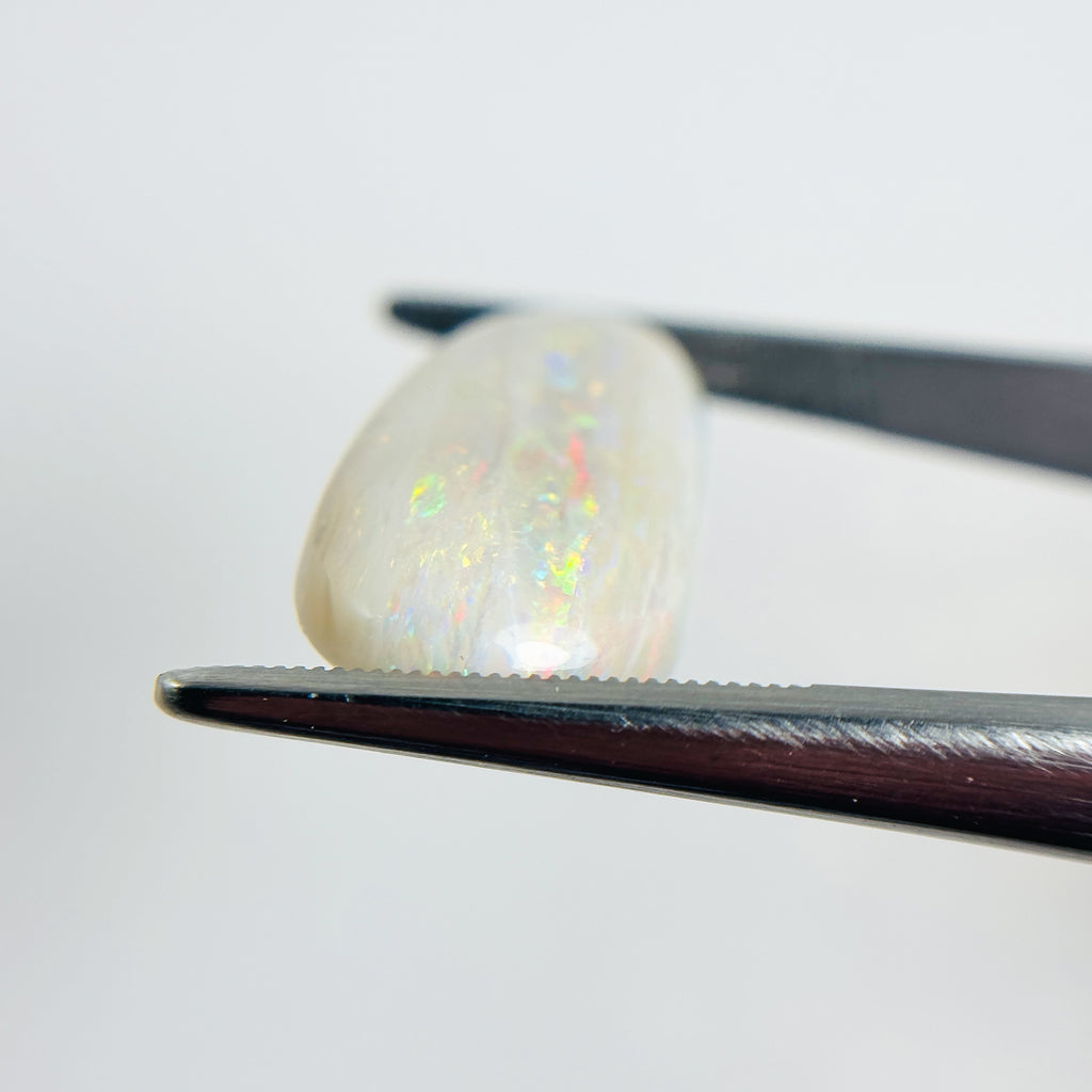White Opal Multicolour 25x12x5.5 Cabochon Pear 11.3 Carat