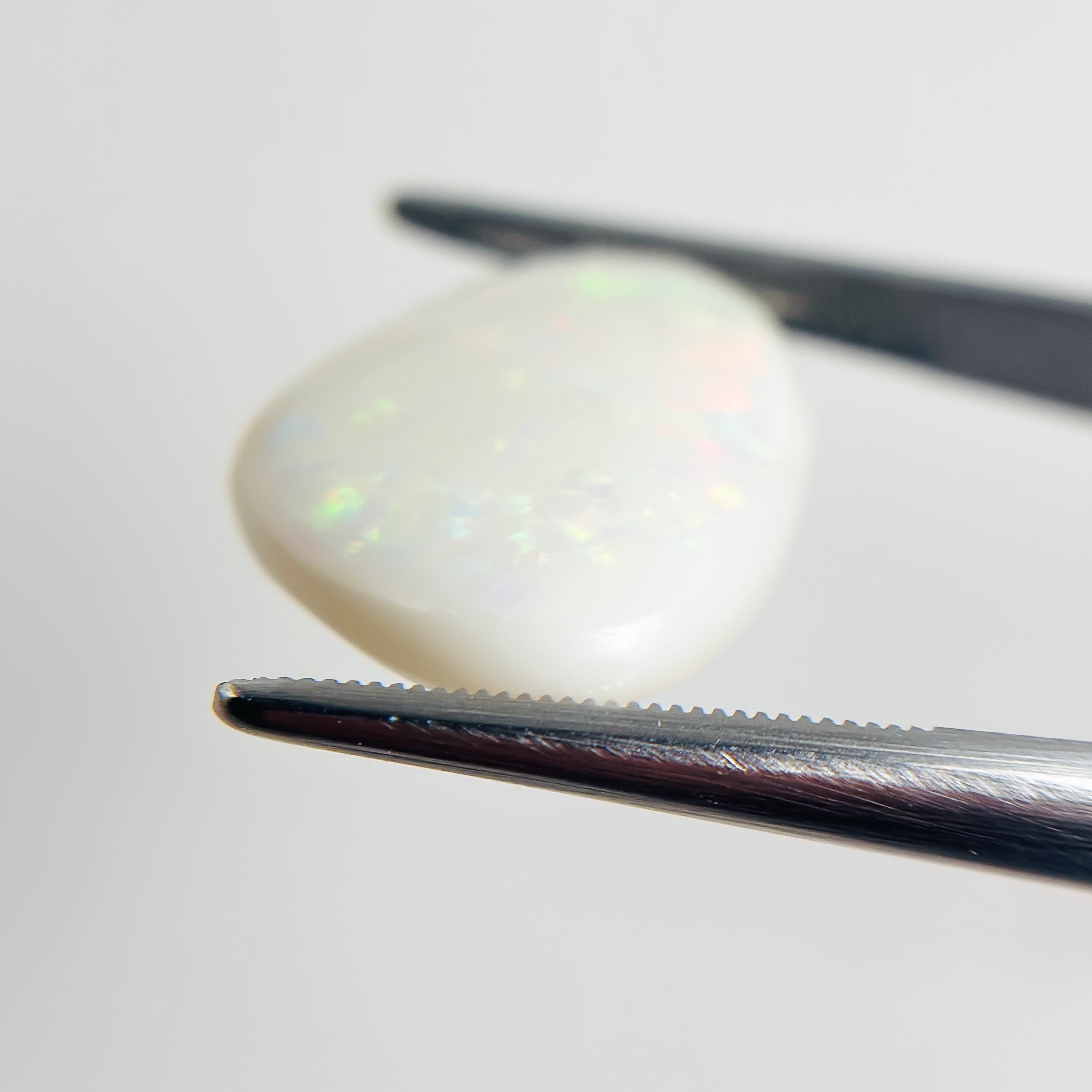 White Opal Multicolour 23x17x5 Cabochon Freeform 12.35 Carat
