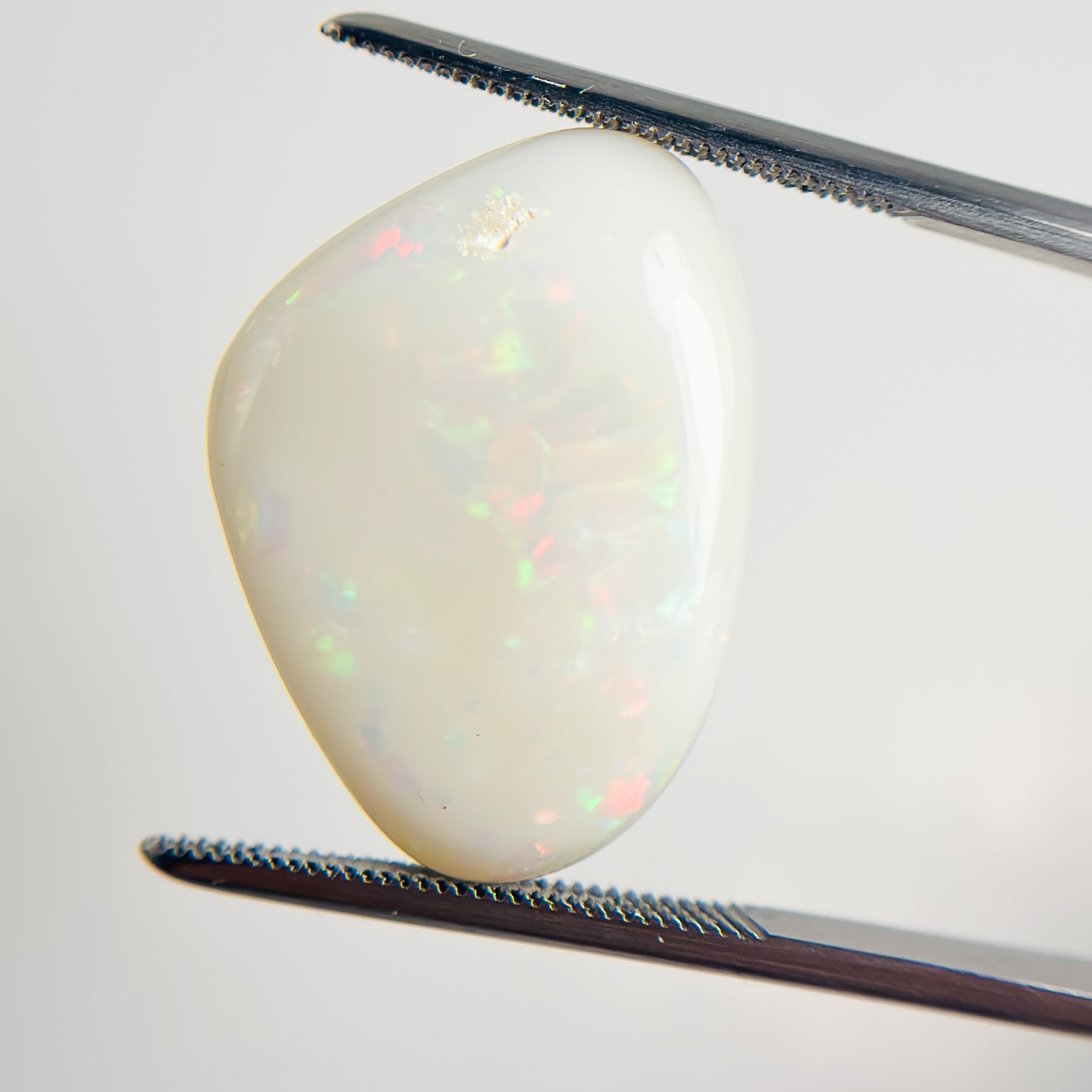 White Opal Multicolour 23x17x5 Cabochon Freeform 12.35 Carat