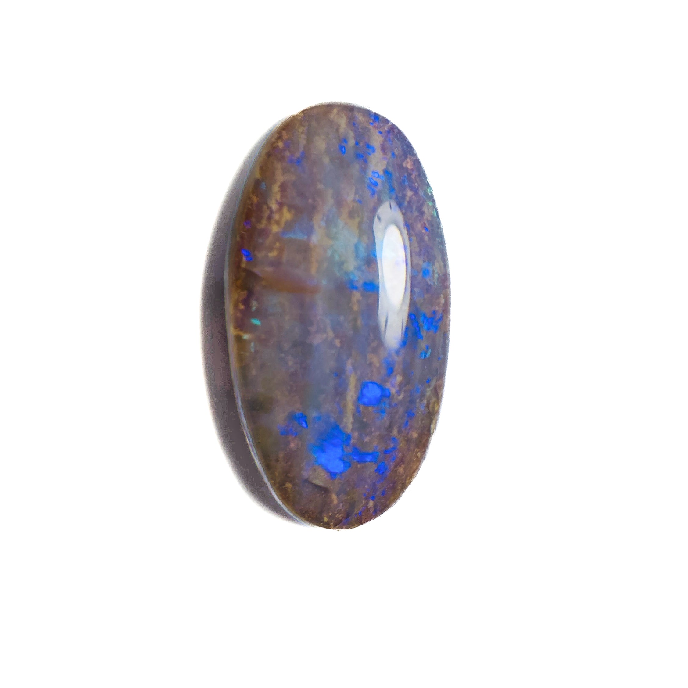 Crystal Wood Fossil Opal Blue 16x8x4 Cabochon Oval 3.9 Carat