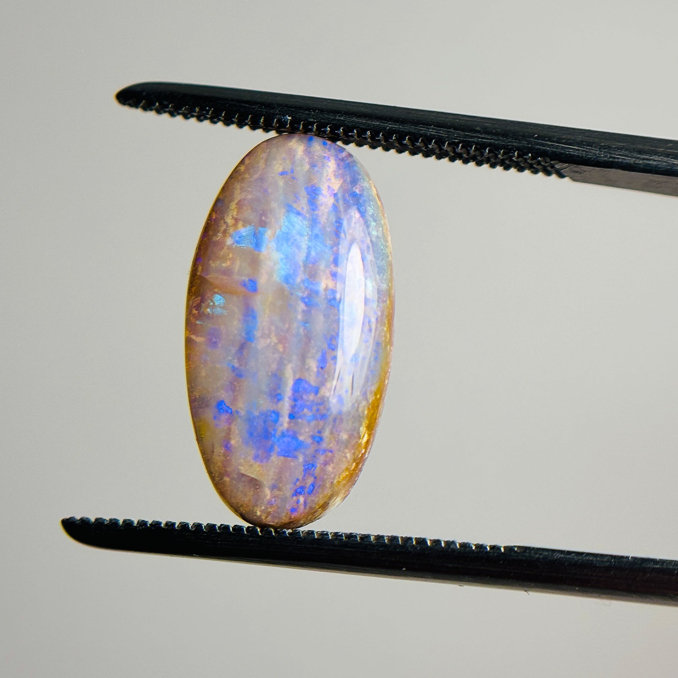Crystal Wood Fossil Opal Blue 16x8x4 Cabochon Oval 3.9 Carat