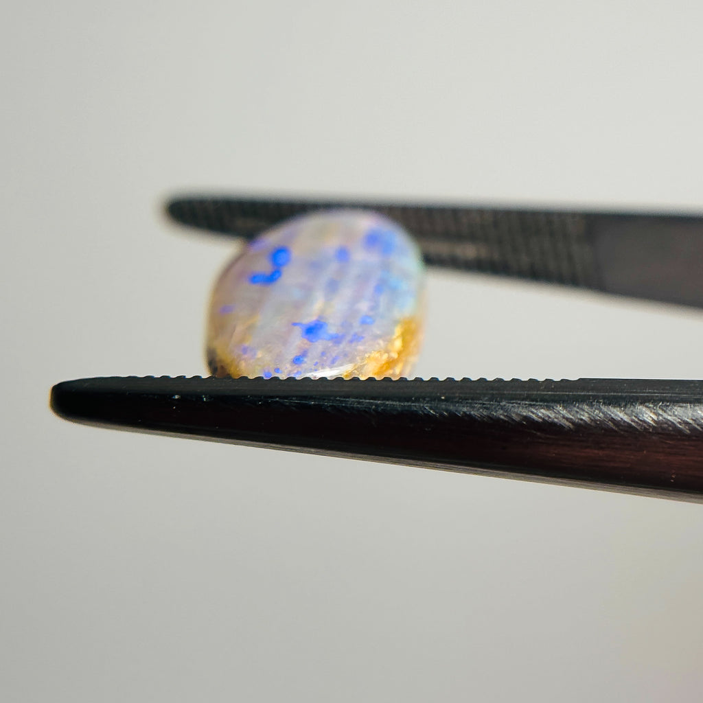 Crystal Wood Fossil Opal Blue 16x8x4 Cabochon Oval 3.9 Carat