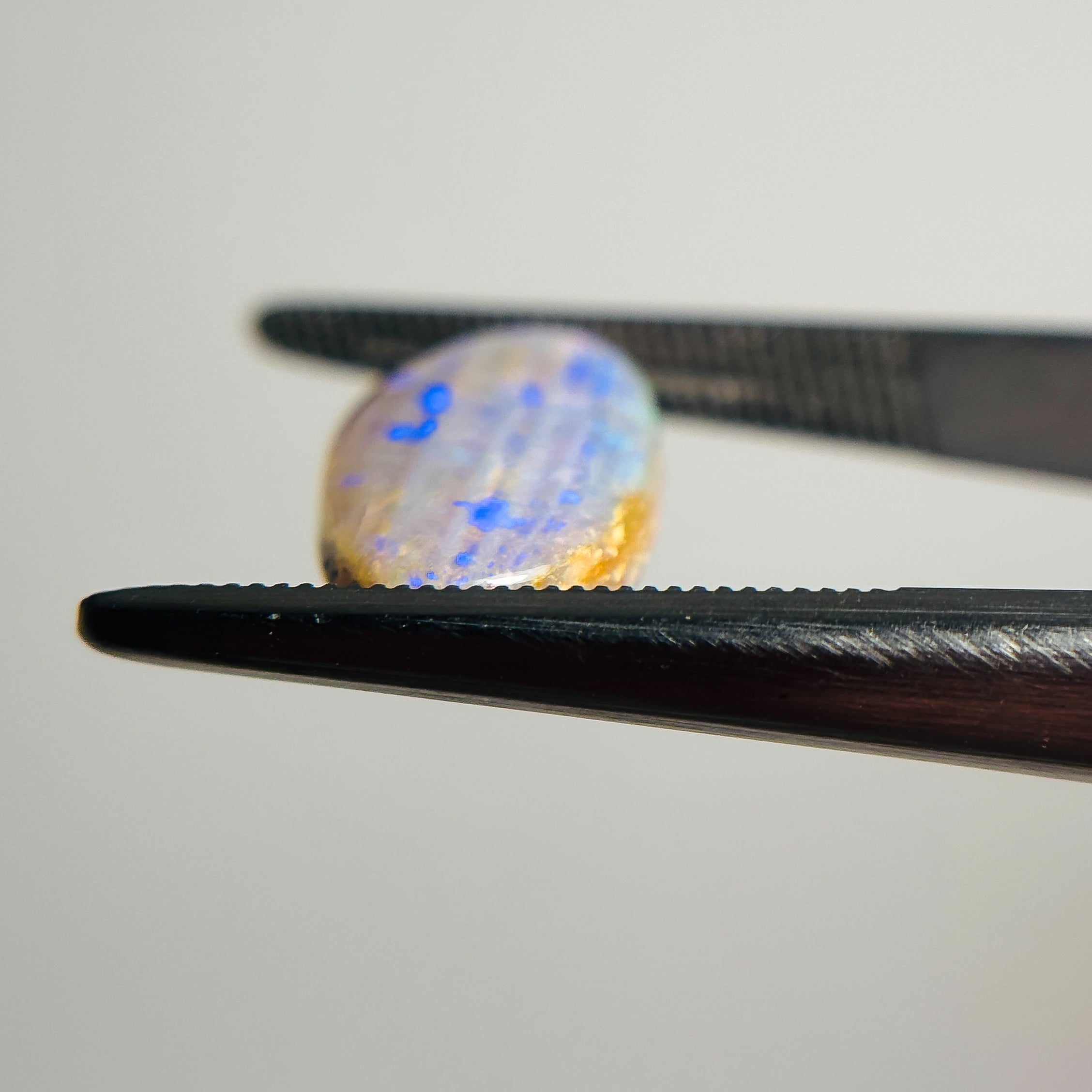Crystal Wood Fossil Opal Blue 16x8x4 Cabochon Oval 3.9 Carat