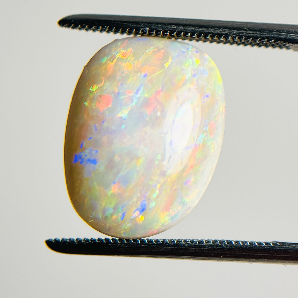 White Opal Multicolour 16x12x5.8 Cabochon Freeform 7.05 Carat