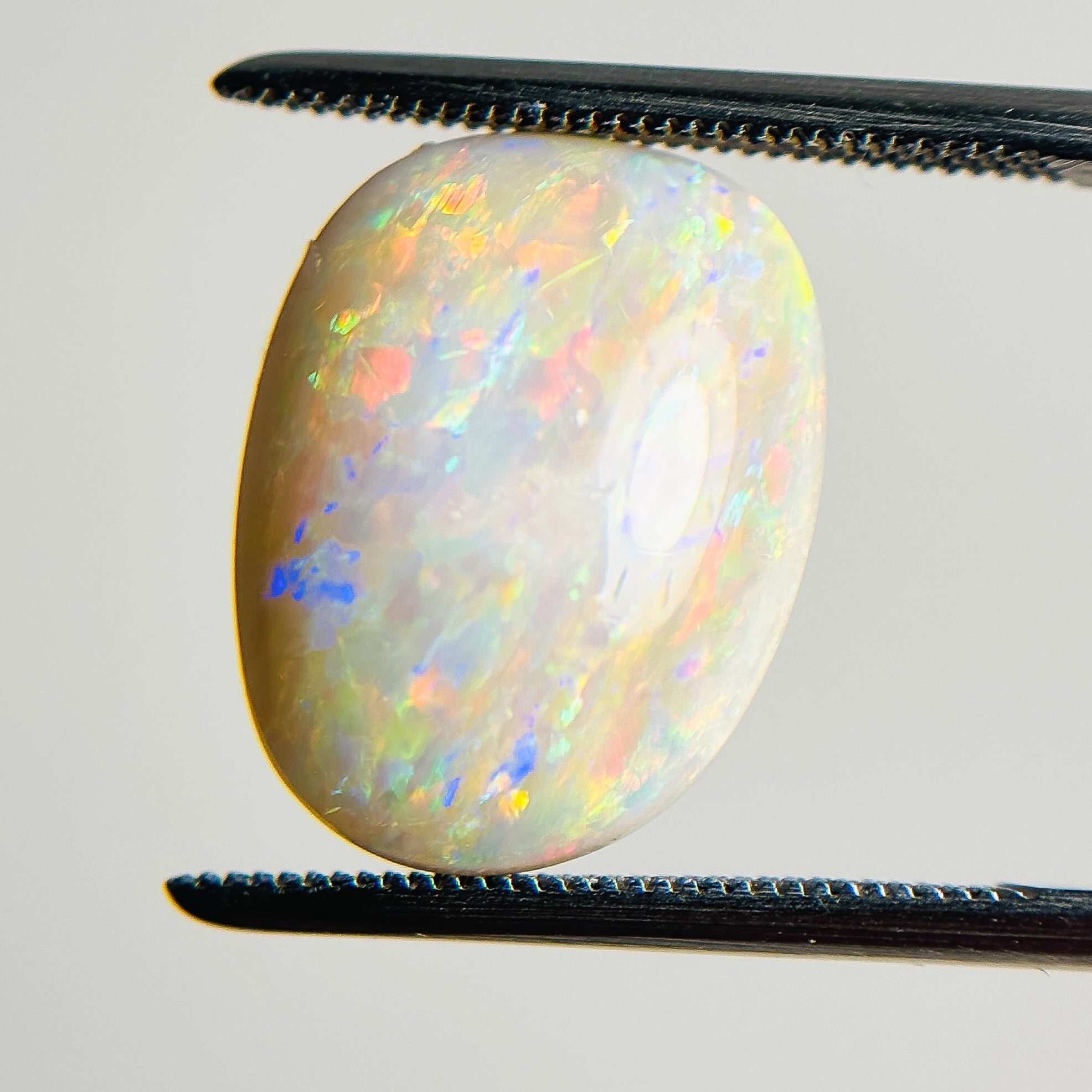 White Opal Multicolour 16x12x5.8 Cabochon Freeform 7.05 Carat