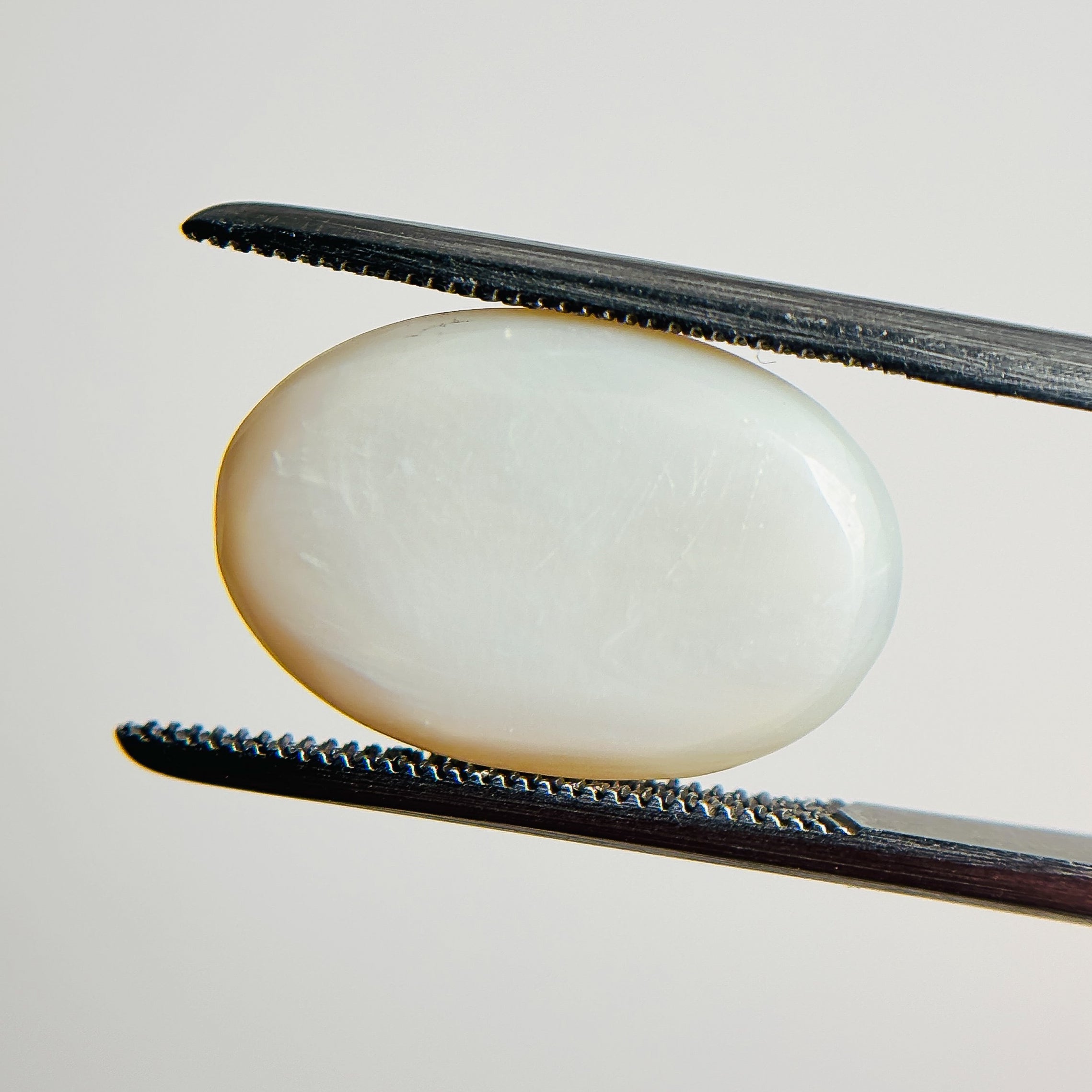 White Opal Green Blue 17x11x5 Cabochon Oval 6.1 Carat