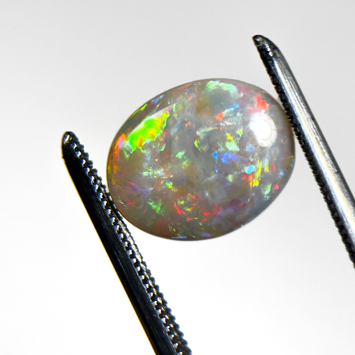 White Opal Red Multicolour 12x9x3 Cabochon Oval 2.45 Carat