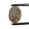 Semi Black Opal Multicolour 12x9x2 Cabochon Oval 1.9 Carat