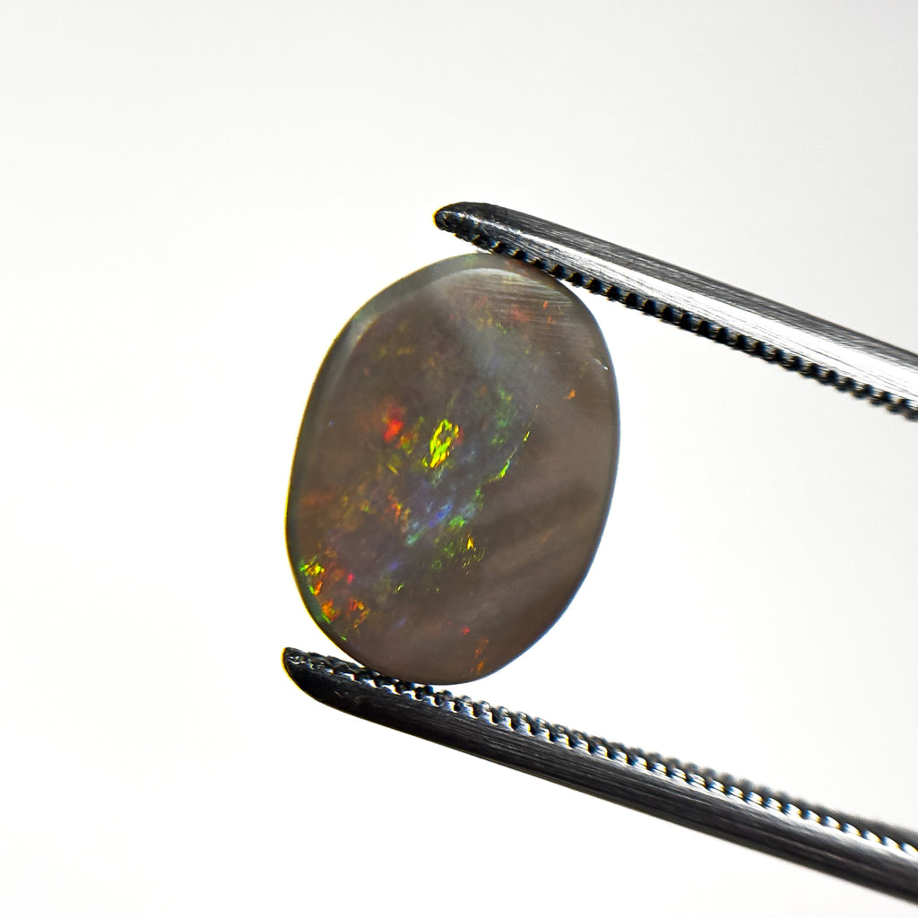 Semi Black Opal Multicolour 12x9x2 Cabochon Oval 1.9 Carat