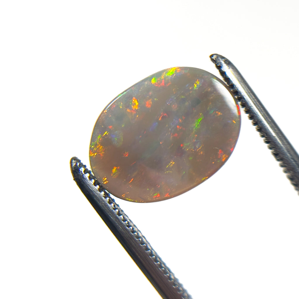 Semi Black Opal Multicolour 12x9x2 Cabochon Oval 1.9 Carat