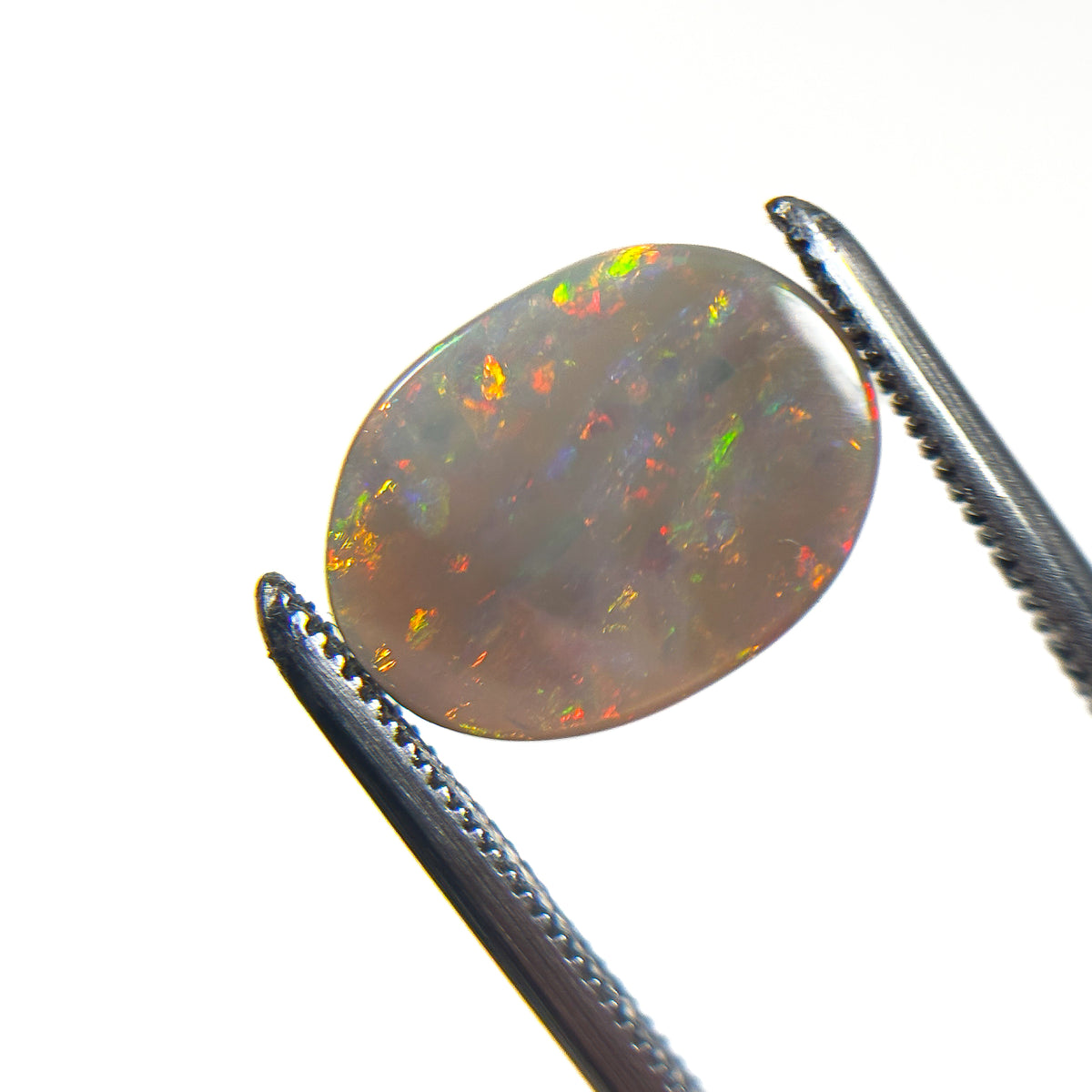 Semi Black Opal Multicolour 12x9x2 Cabochon Oval 1.9 Carat