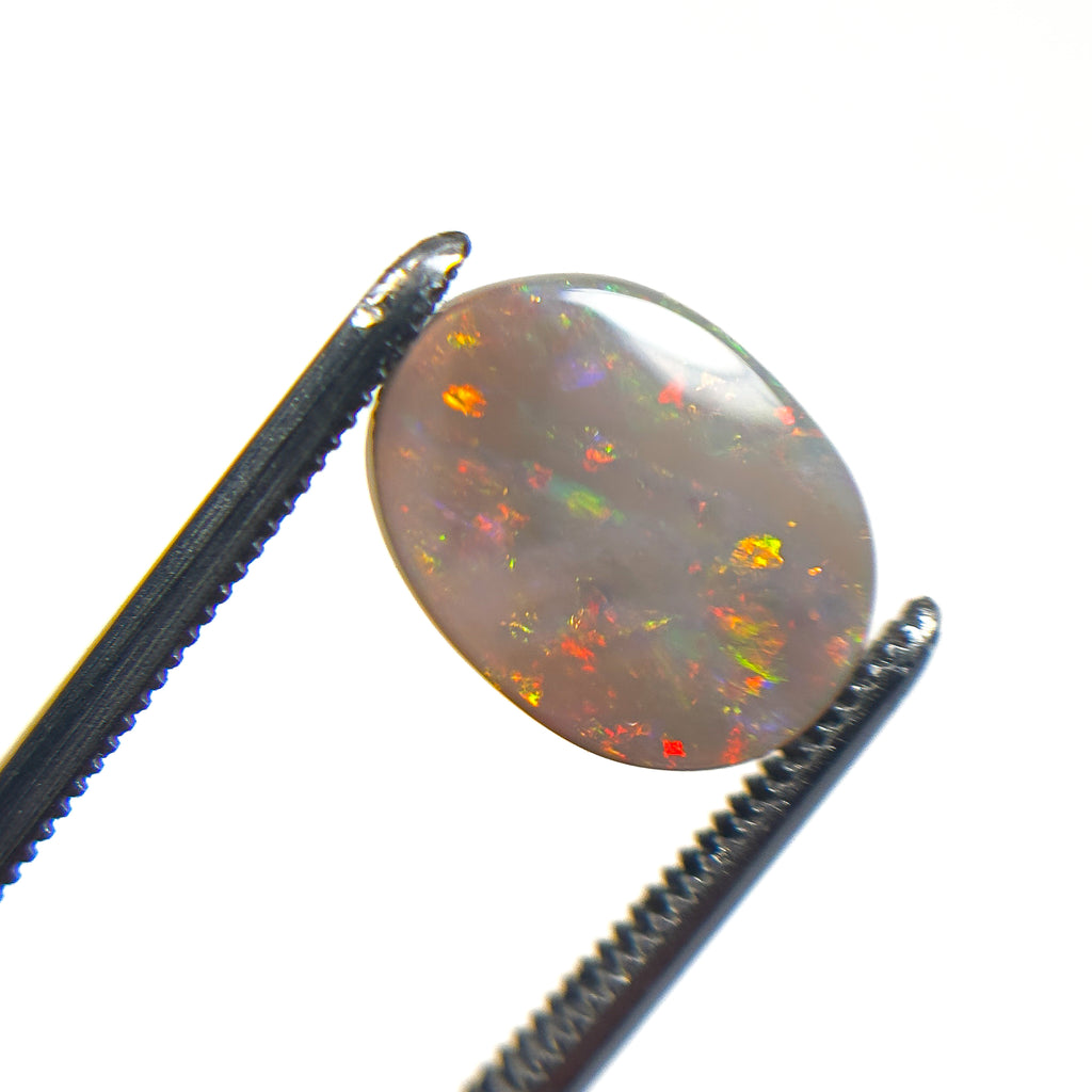 Semi Black Opal Multicolour 12x9x2 Cabochon Oval 1.9 Carat