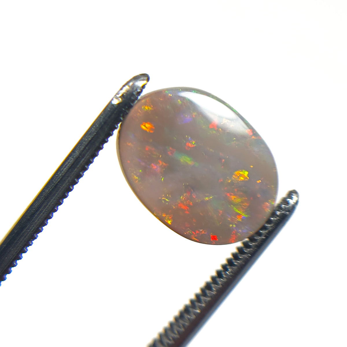Semi Black Opal Multicolour 12x9x2 Cabochon Oval 1.9 Carat