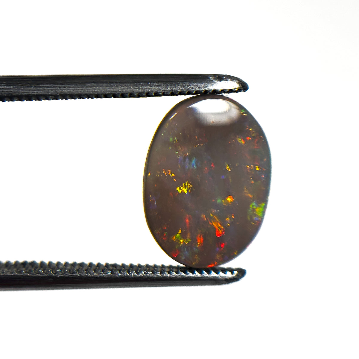 Semi Black Opal Multicolour 12x9x2 Cabochon Oval 1.9 Carat