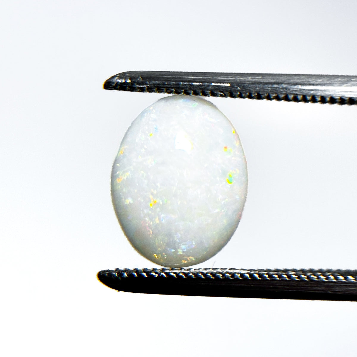 White Opal Multicolour 10.5x8.5x3 Cabochon Oval 1.75 Carat