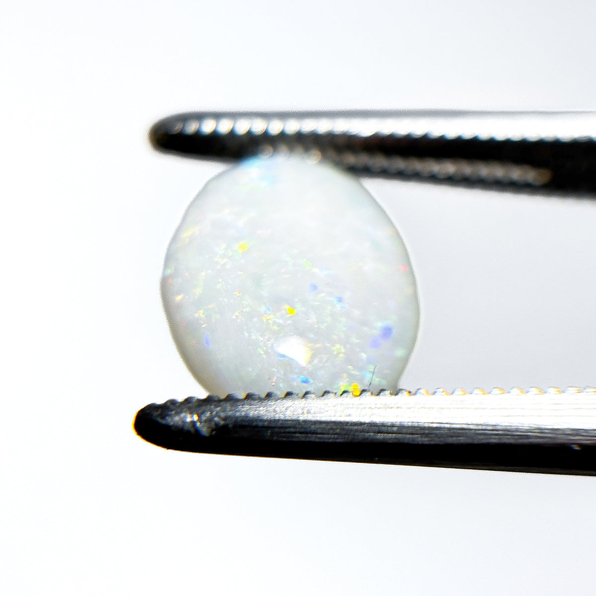 White Opal Multicolour 10.5x8.5x3 Cabochon Oval 1.75 Carat