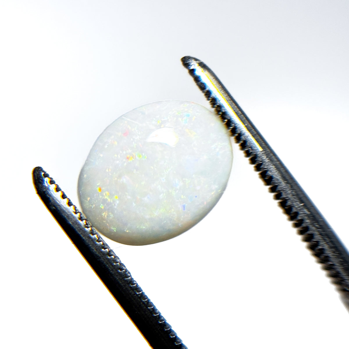 White Opal Multicolour 10.5x8.5x3 Cabochon Oval 1.75 Carat